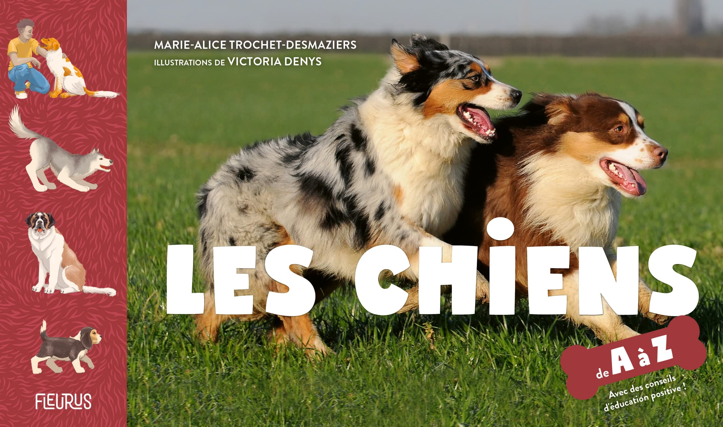 Les chiens de A à Z Non-fiction