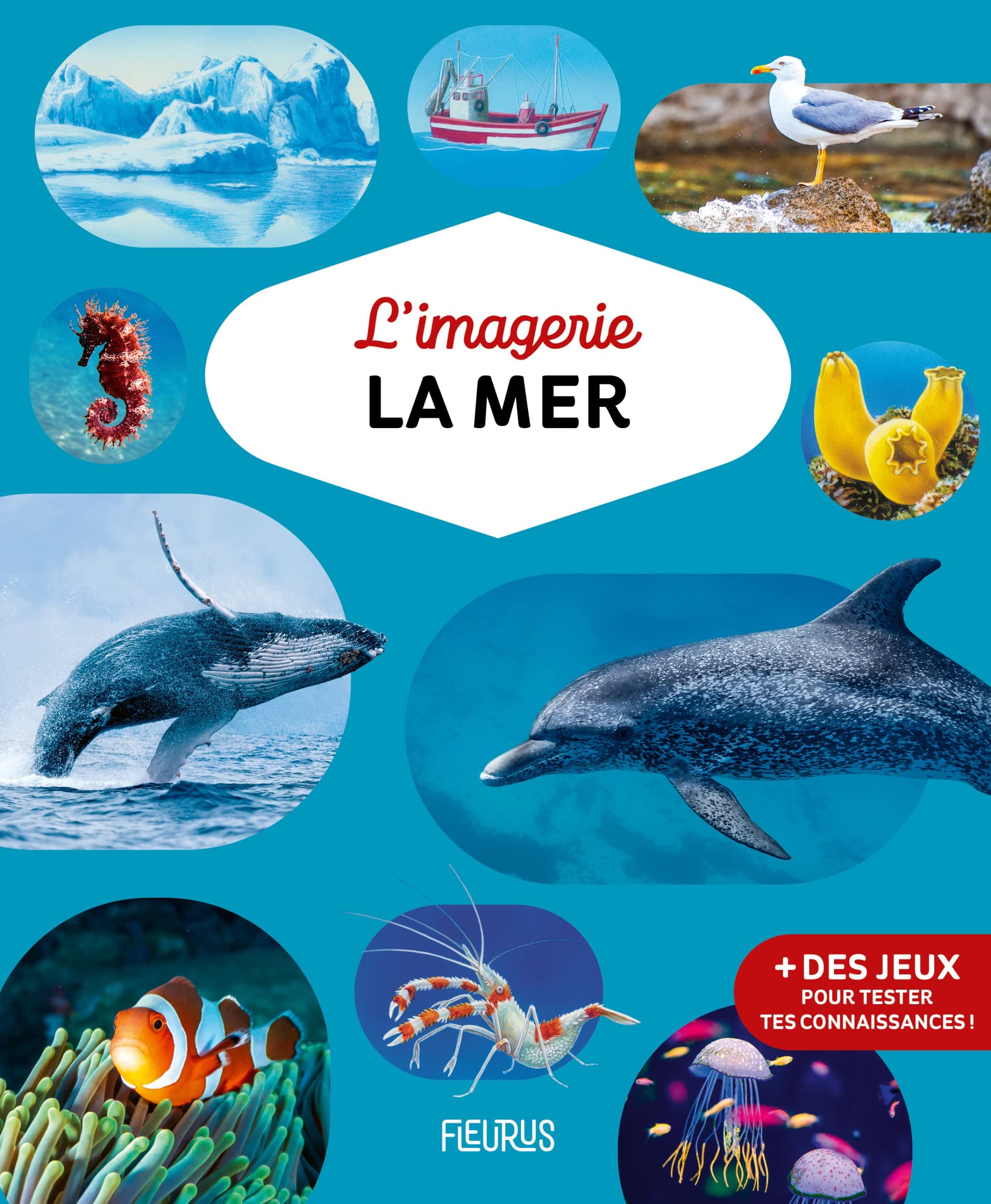 L'imagerie - La mer Non-fiction