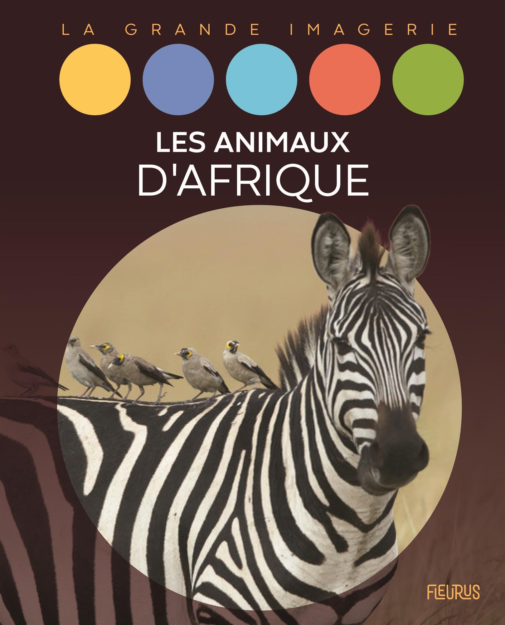 Les animaux d'Afrique Non-fiction