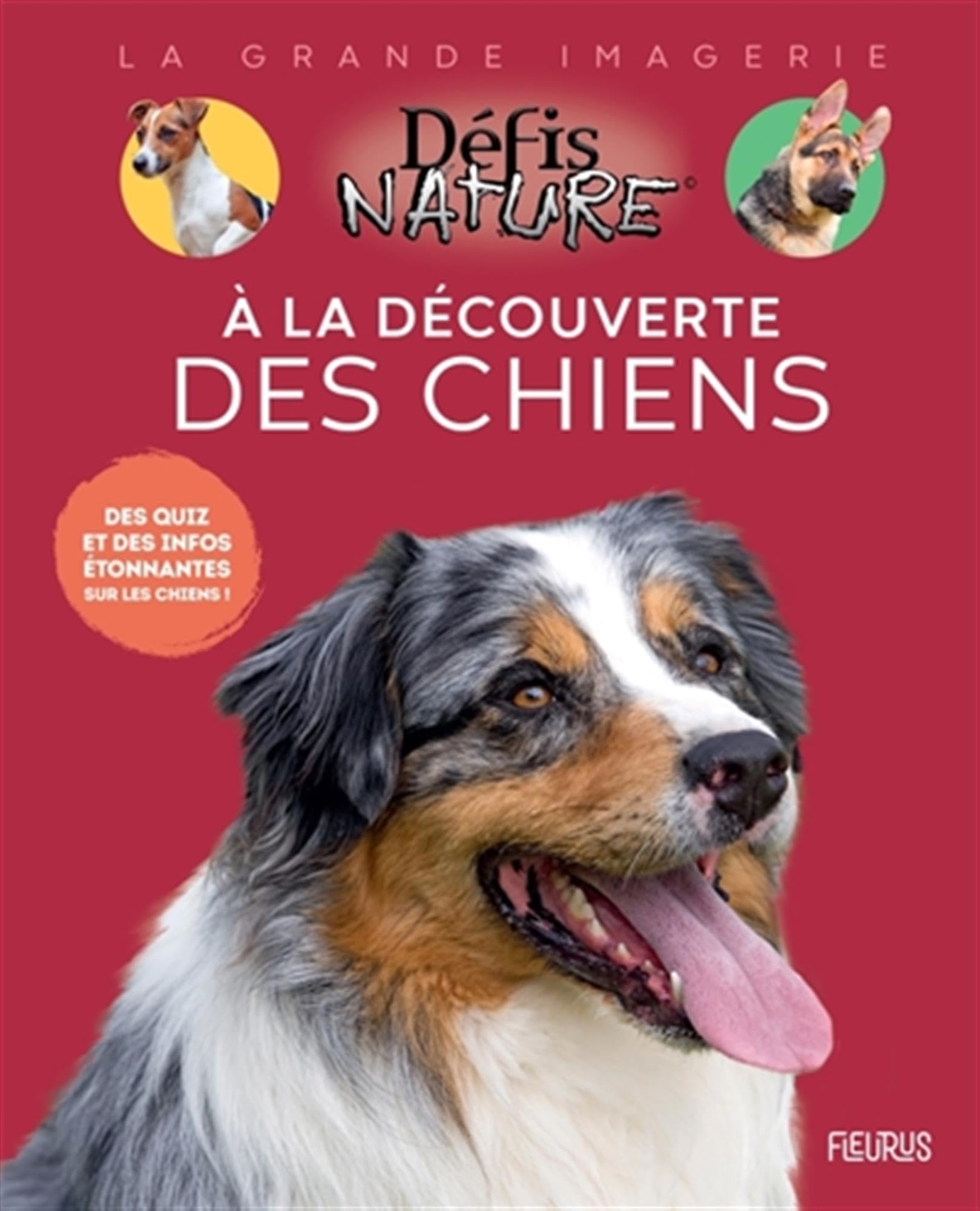 À la découverte des chiens Non-fiction