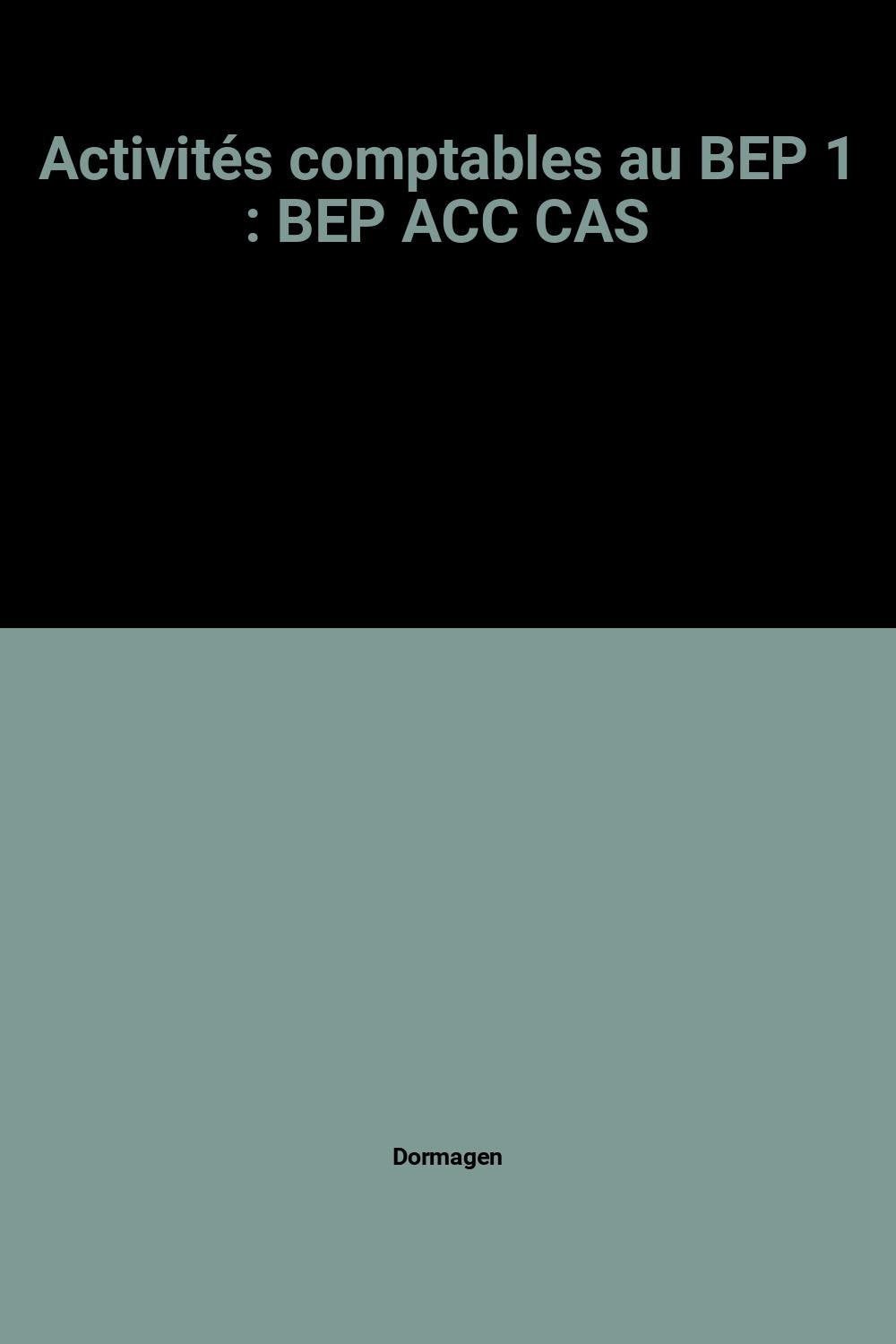 Activités comptables au BEP 1: BEP ACC CAS book