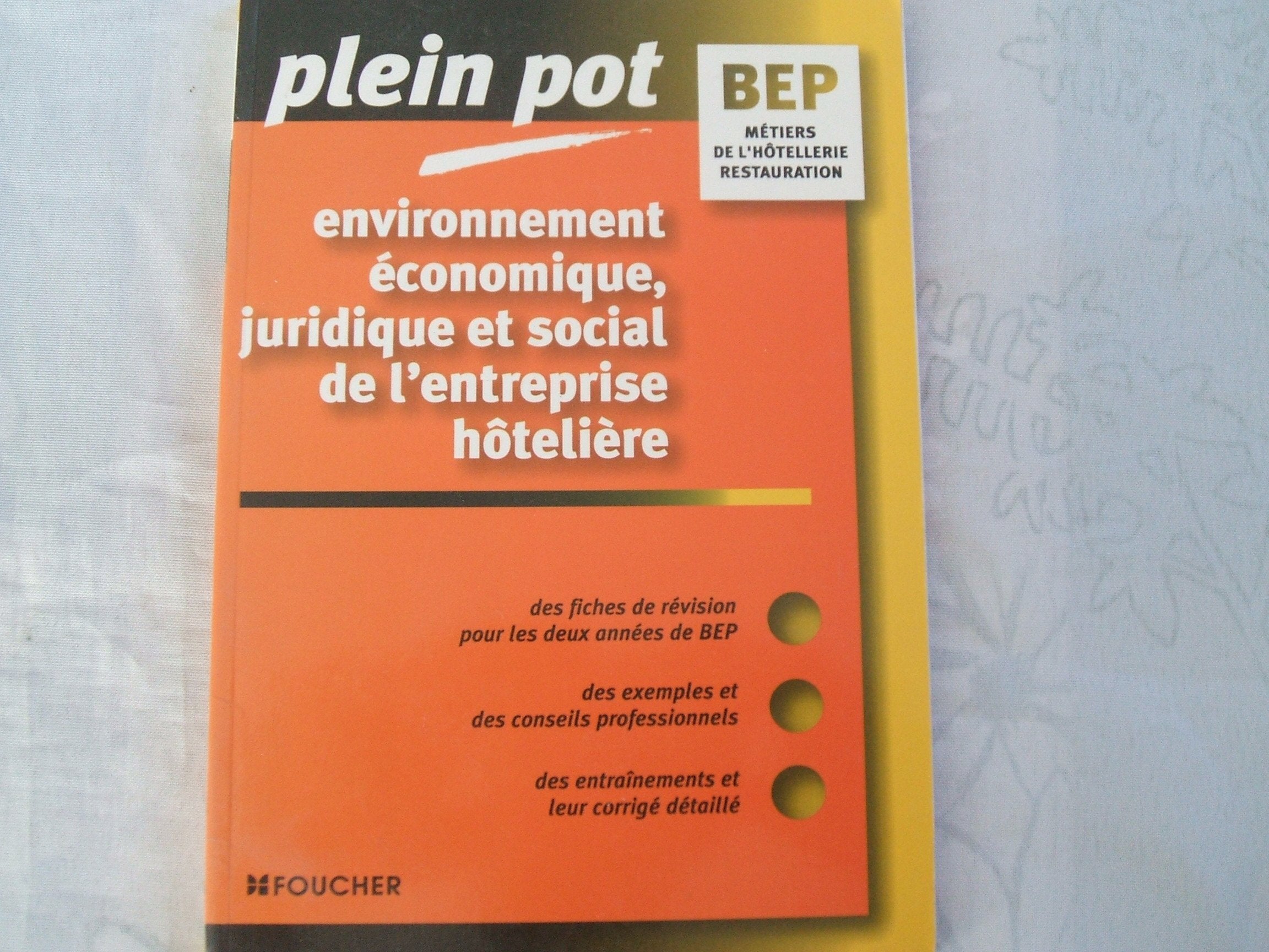 Environnement économique, juridique et social de l'entreprise hôtelière book