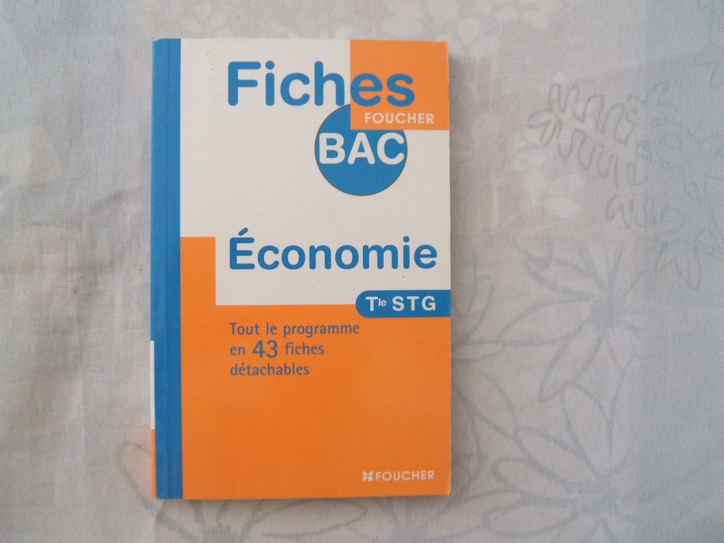 FICHES BAC ECONOMIE TERMINALE STG (Ancienne Edition) book