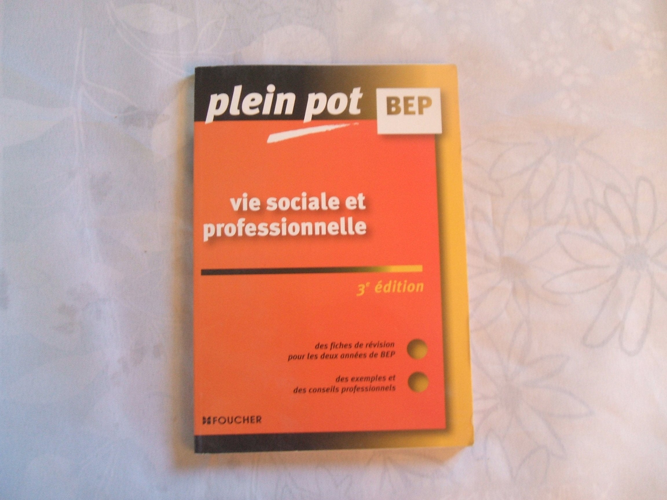 Vie sociale et professionnelle BEP Tertiaires et industriels book