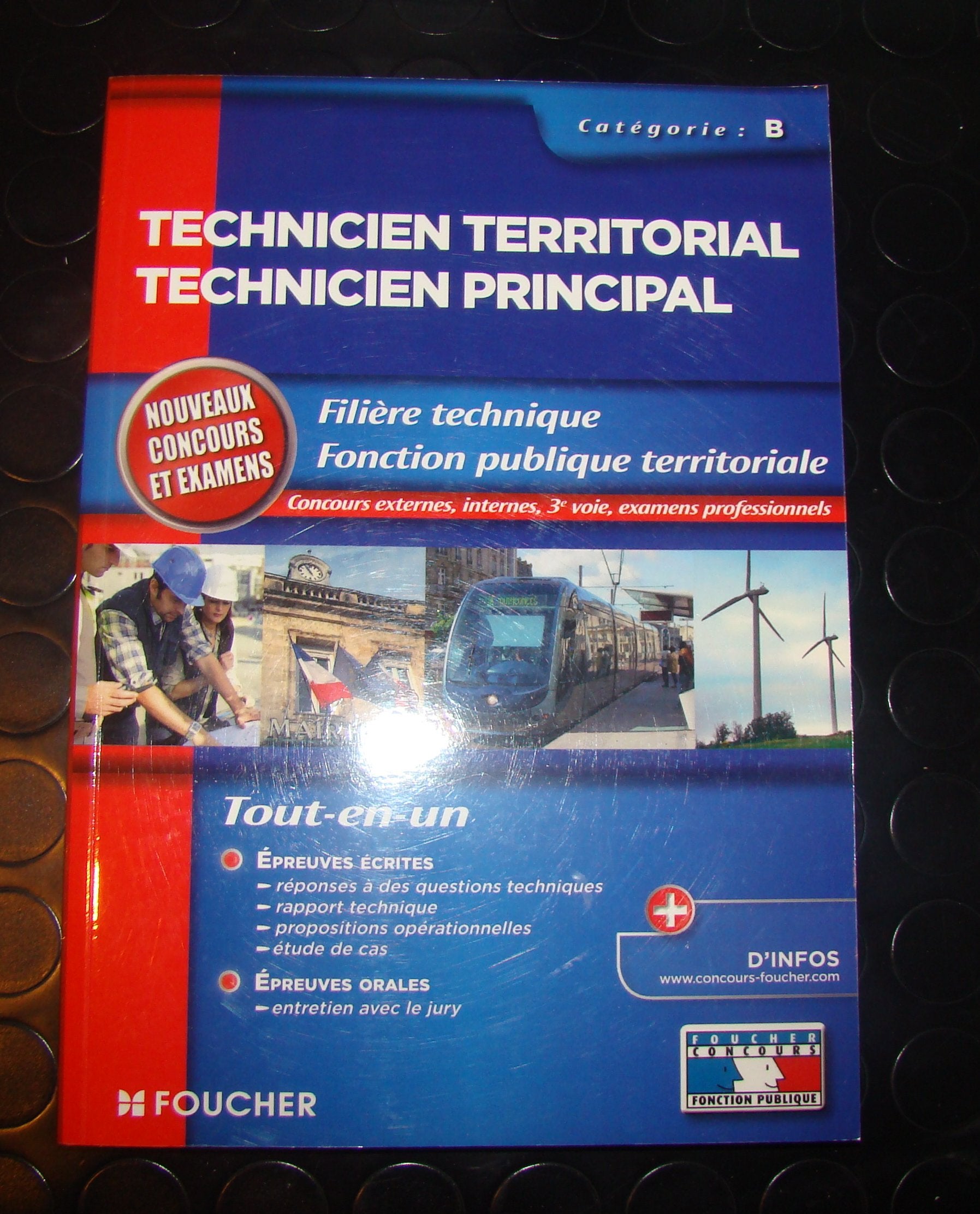 Technicien territorial technicien principal, Fonction publique territoriale, Catégorie B book