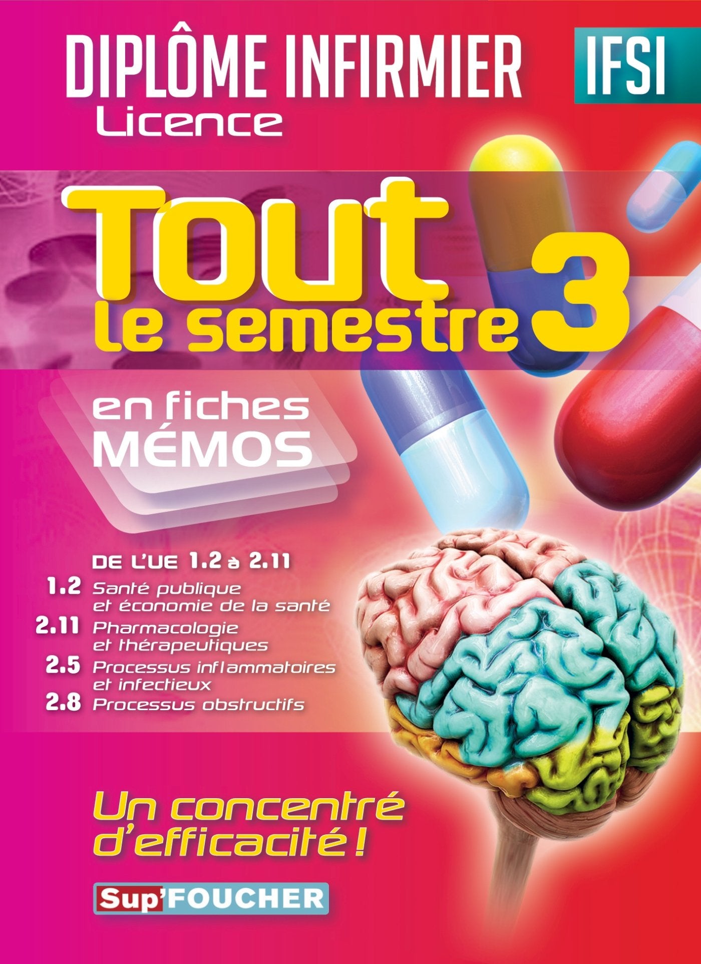 Tout le semestre 3 en fiches mémos: De l'UE 1.2 à 2.8 book