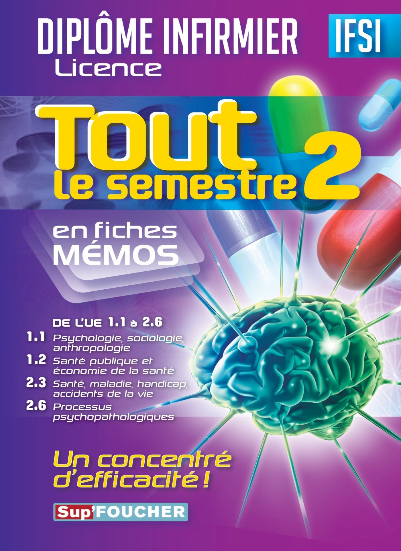 Tout le semestre 2 en fiches mémos: De l'U.E 1,1 à 2,6 book
