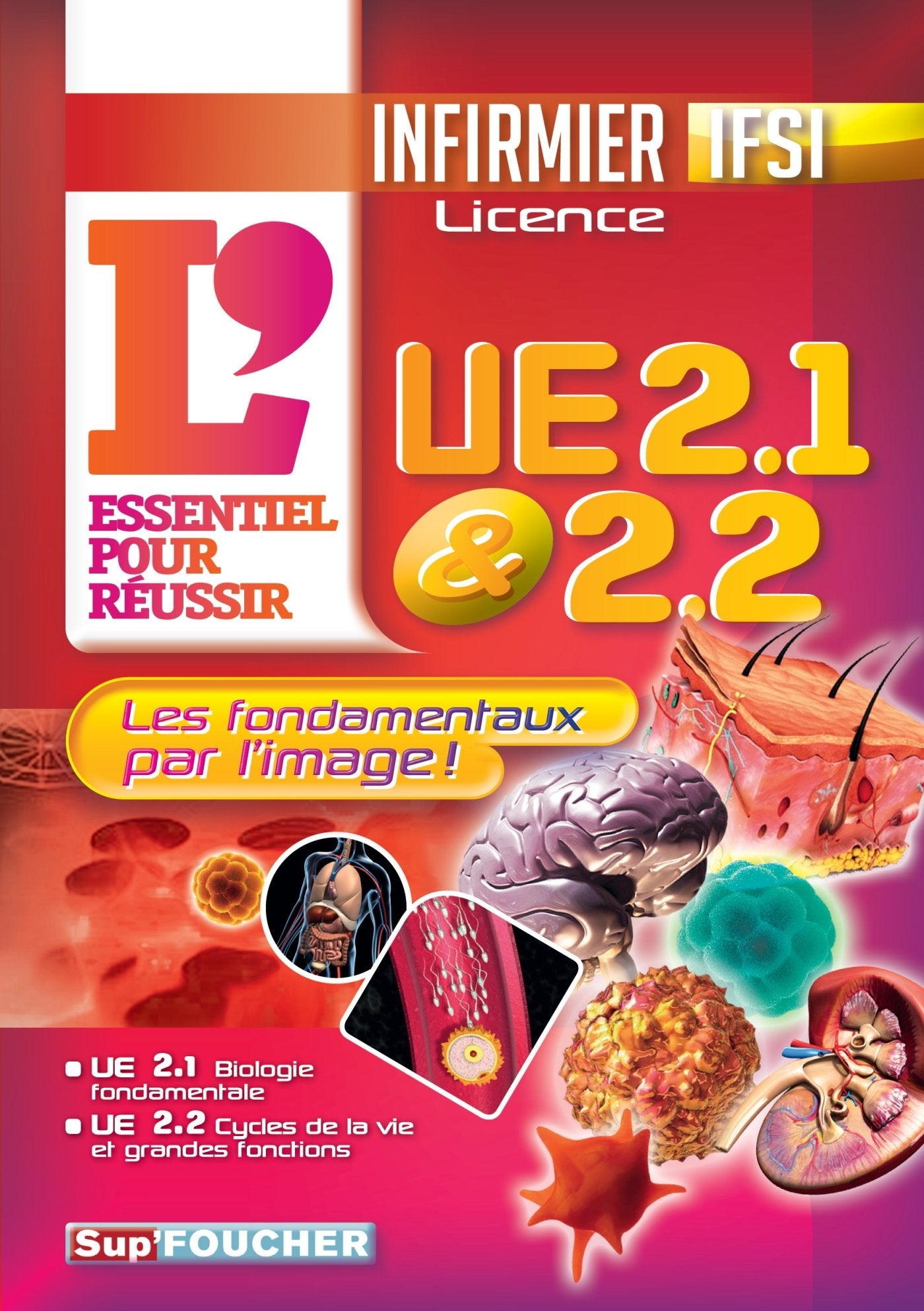 L'essentiel pour réussir UE 2.1 et 2.2 book