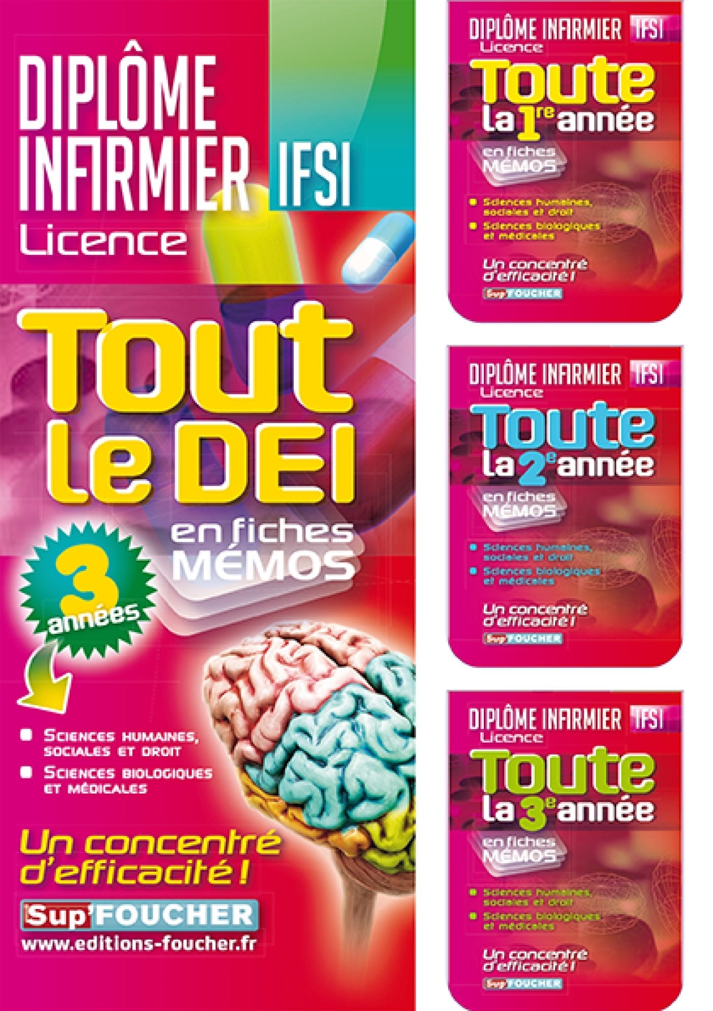 Tout le DEI en fiches mémos book