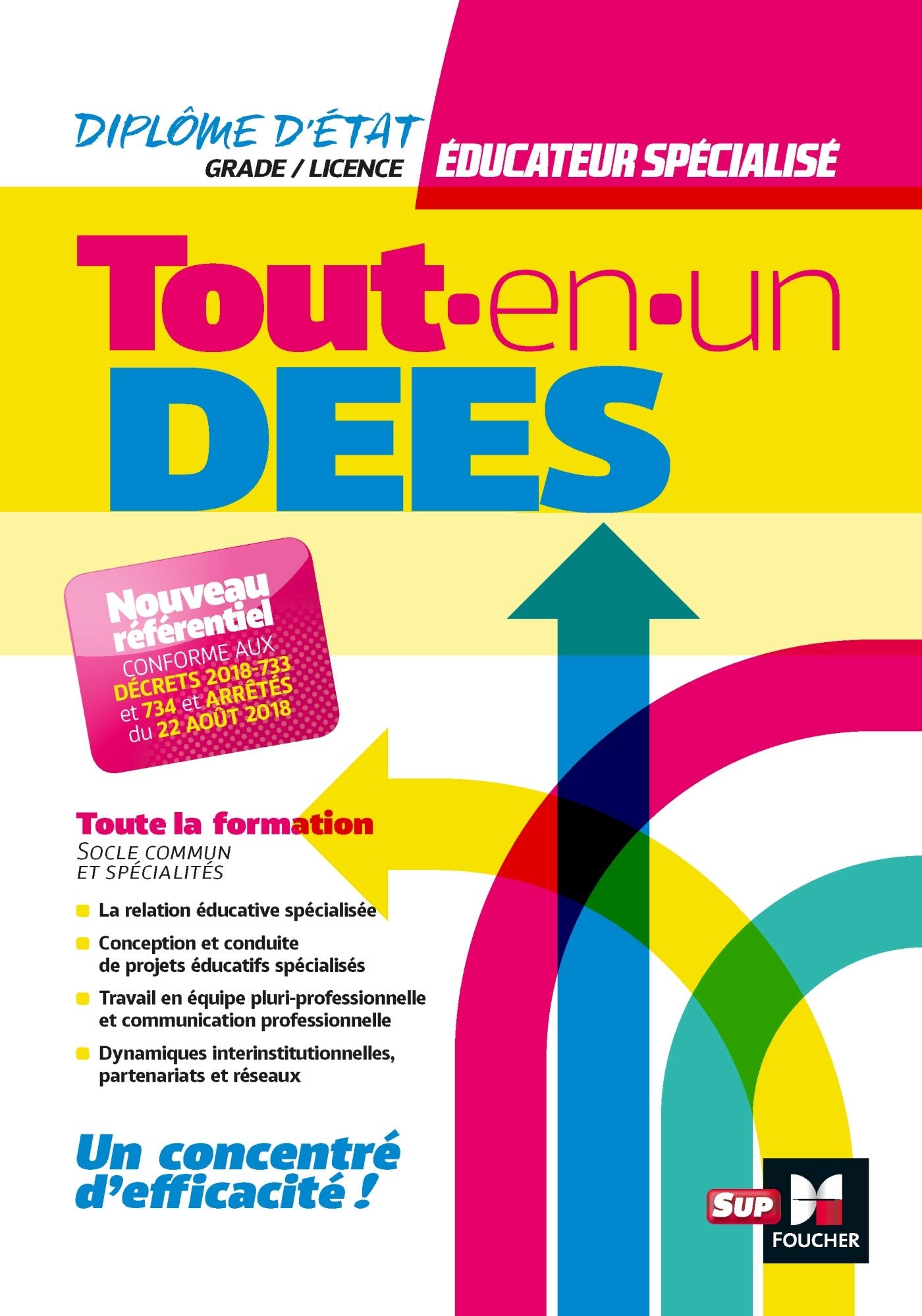 Tout-en-un DEES - Diplôme d'état Educateur Spécialisé - Programme complet book