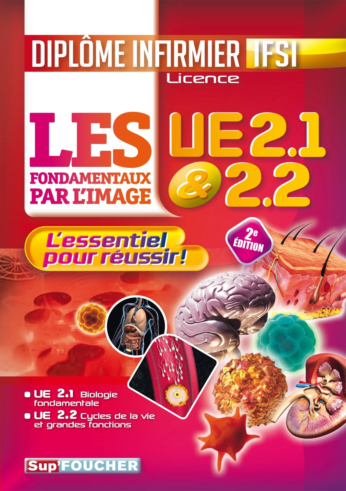 Les fondamentaux par l'image l'UE 2.1 et 2.2 - Diplôme d'état infirmier - IFSI: L'essentiel pour réussir book