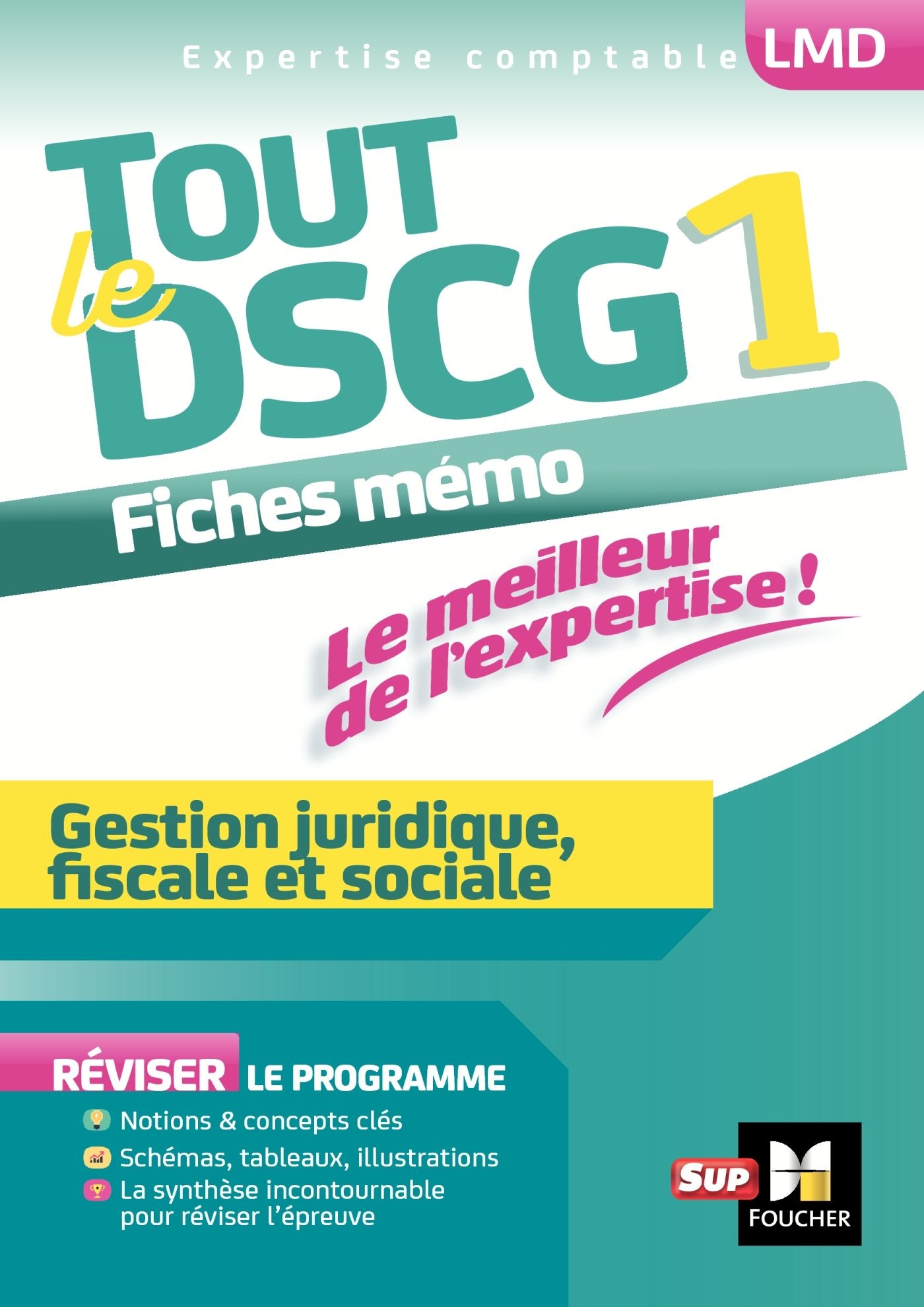 Tout le DSCG 1 - Gestion juridique fiscale et sociale book
