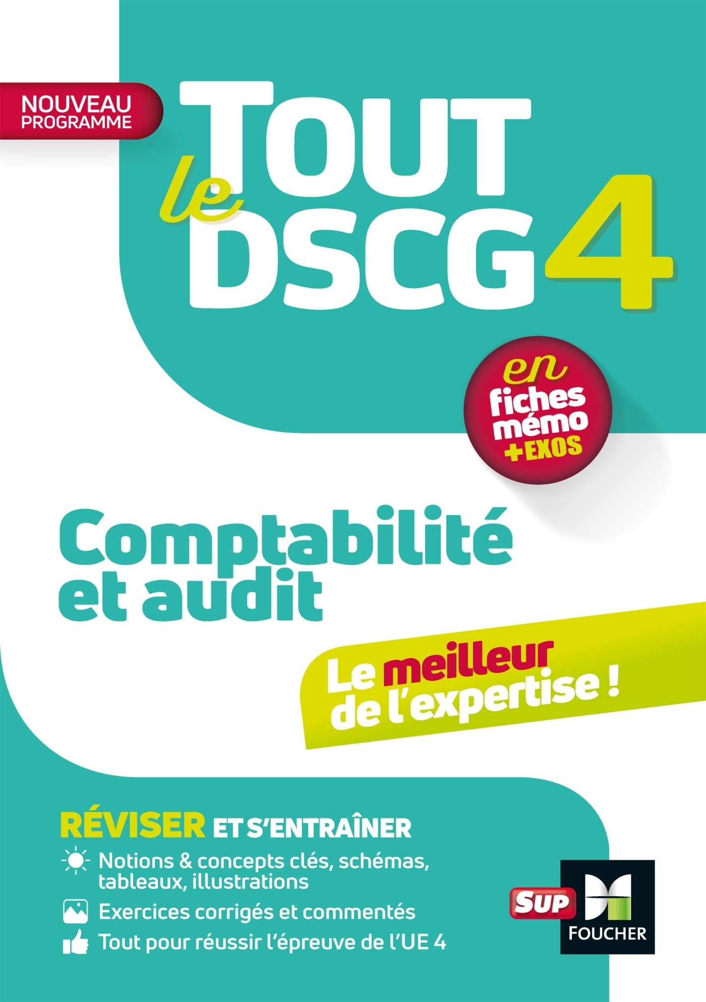 Tout le DSCG 4 - Comptabilité et Audit - 3e édition - Révision et entraînement book