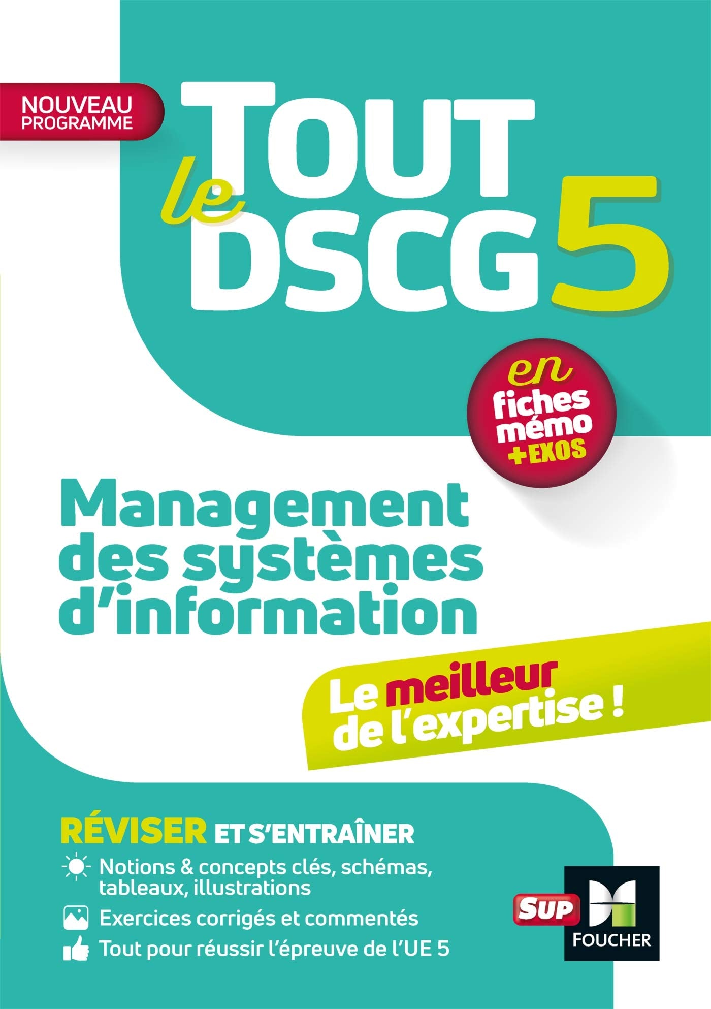 Tout le DSCG 5 - Management des systèmes d'information book