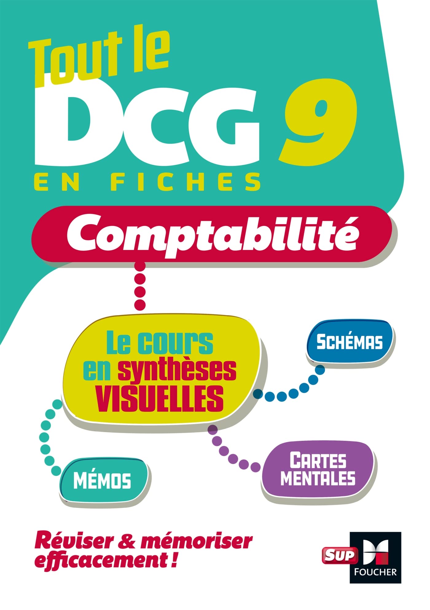 Tout le DCG 9 : mémo cartes - Révision: Comptabilité Business, Finance & Career