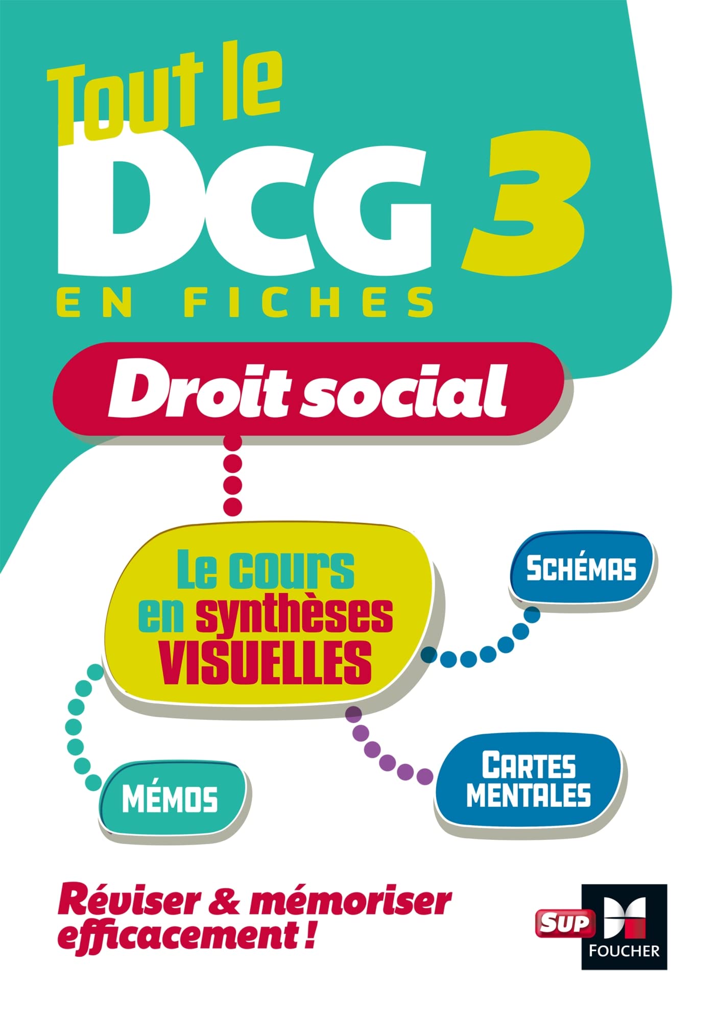 Tout le DCG 3 : mémo cartes - Révision Law