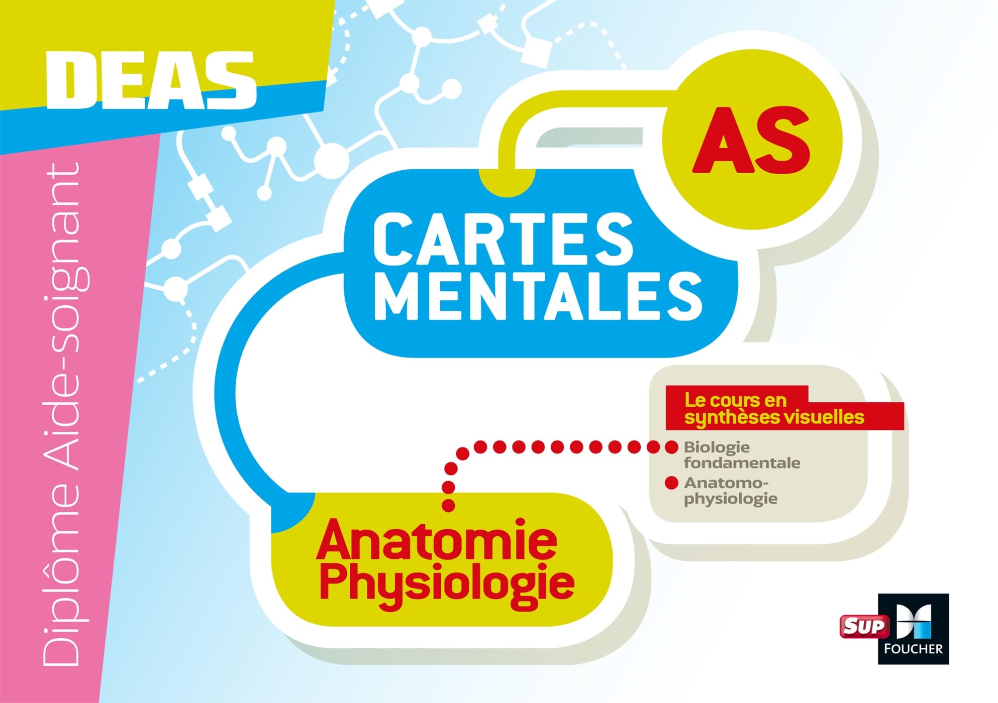 Anatomie physiologie - Cartes mentales - Diplôme Aide-Soignant - DEAS Medicine
