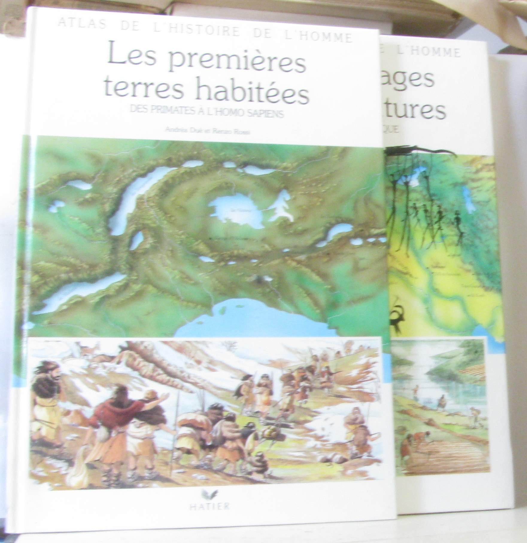 Les premieres terres habitees : des primates a l'homo sapiens book