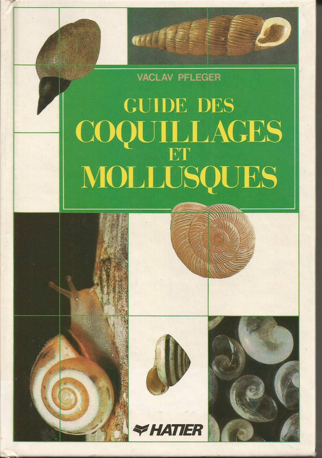 Guide des coquillages et des mollusques Books