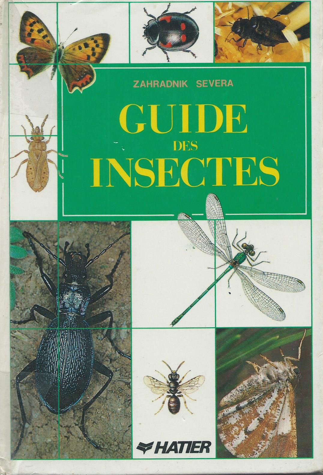 Guide des insectes Books