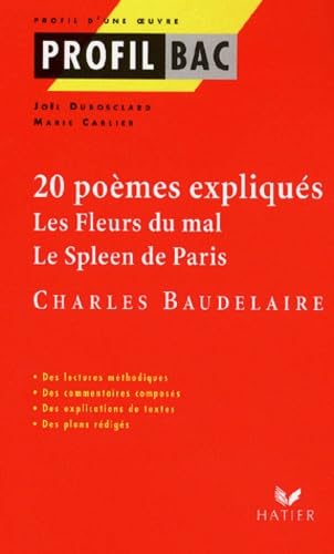 Le Petit Nicolas voyage (Histoires inedites 2) Contemporary literature