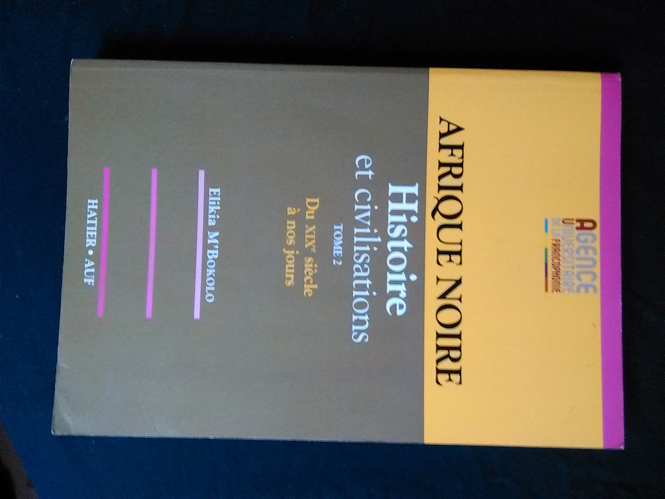 Afrique Noire Histoire et Civilisations XIXe XXe siècles (2è édition) Politics & History