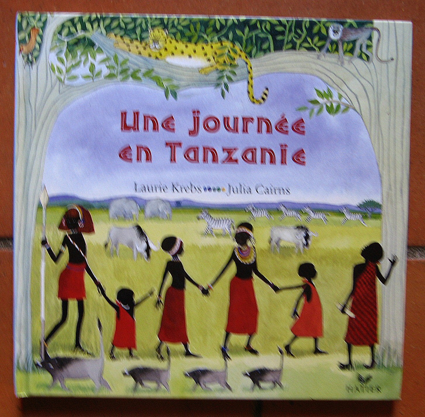 Une journée en Tanzanie Books