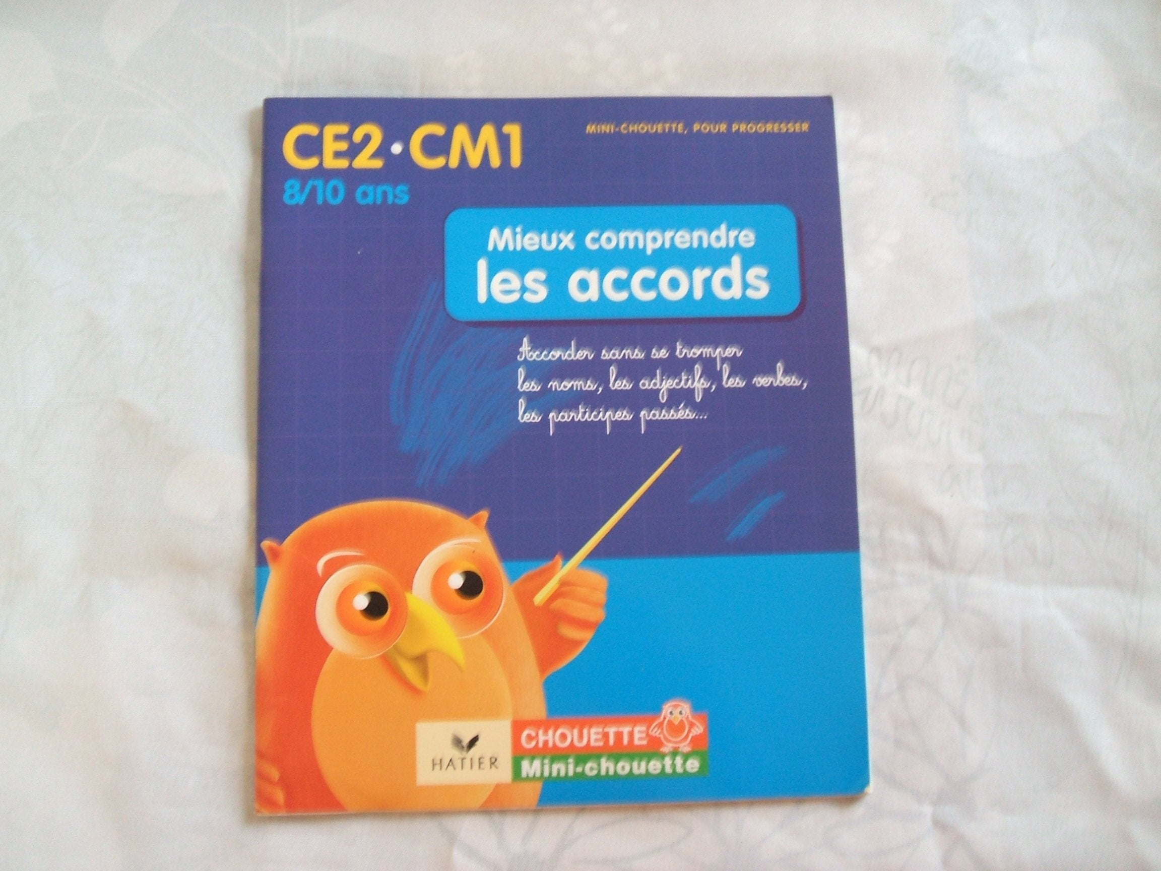 Mieux comprendre les accords CE2-CM1: Accorder sans se tromper les noms, les adjectifs, les verbes, les participes passés... book