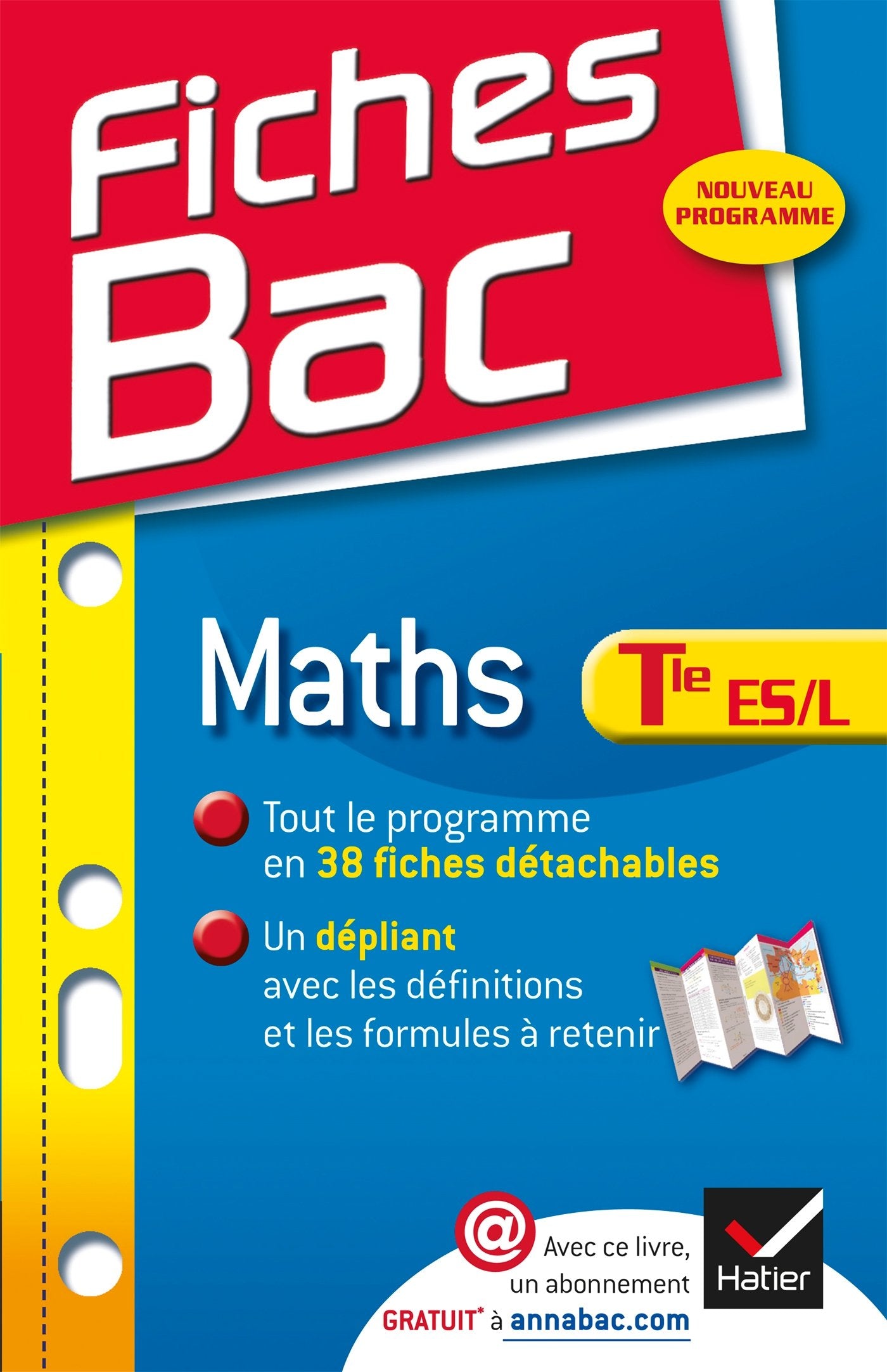 Mathématiques Tle ES, L, enseignement obligatoire et spécialité book
