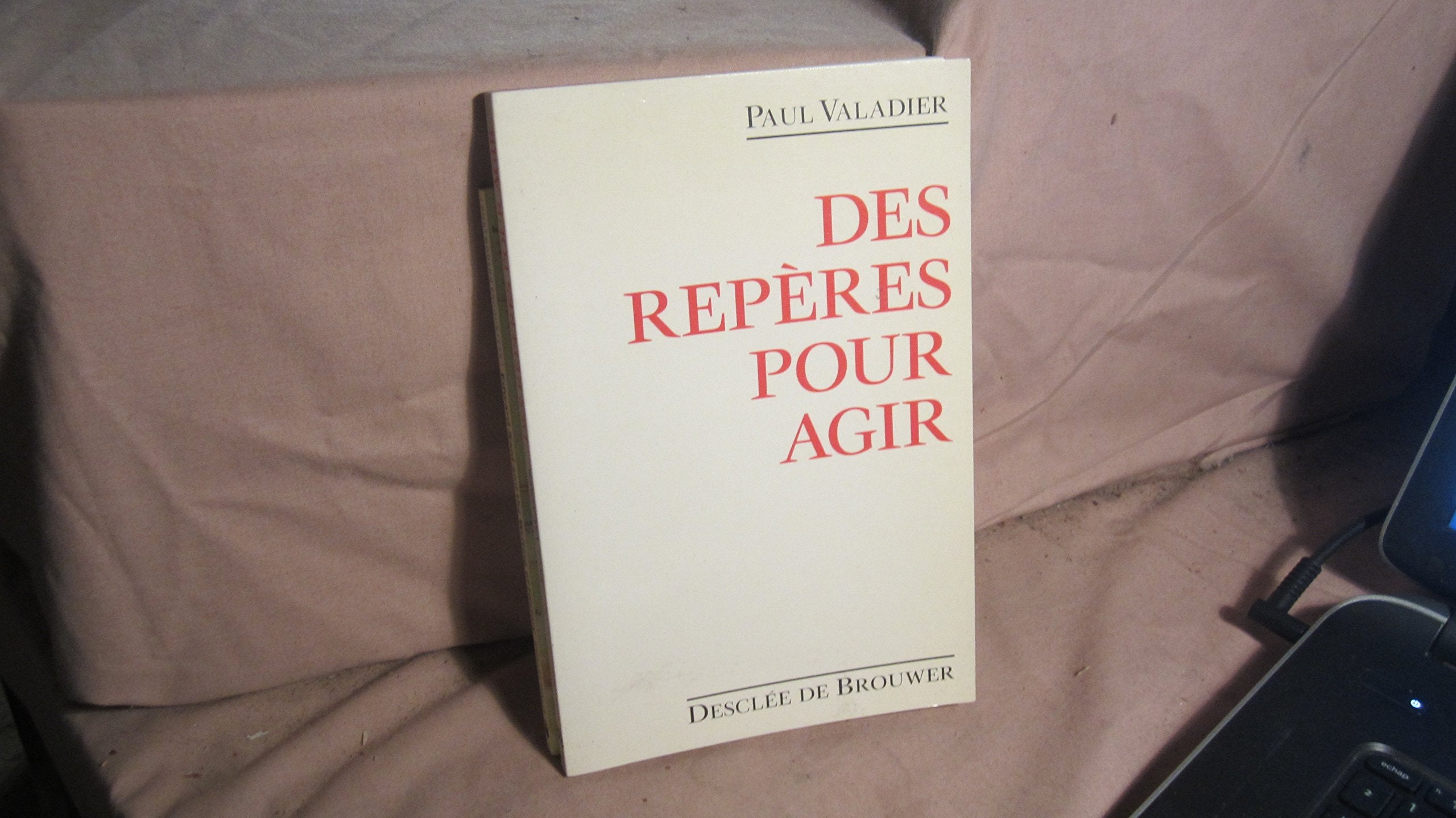 Des Repères pour agir : les morales sont érodées, serions-nous sans repères pour agir ? Quand la foi nous provoque au discernement Books