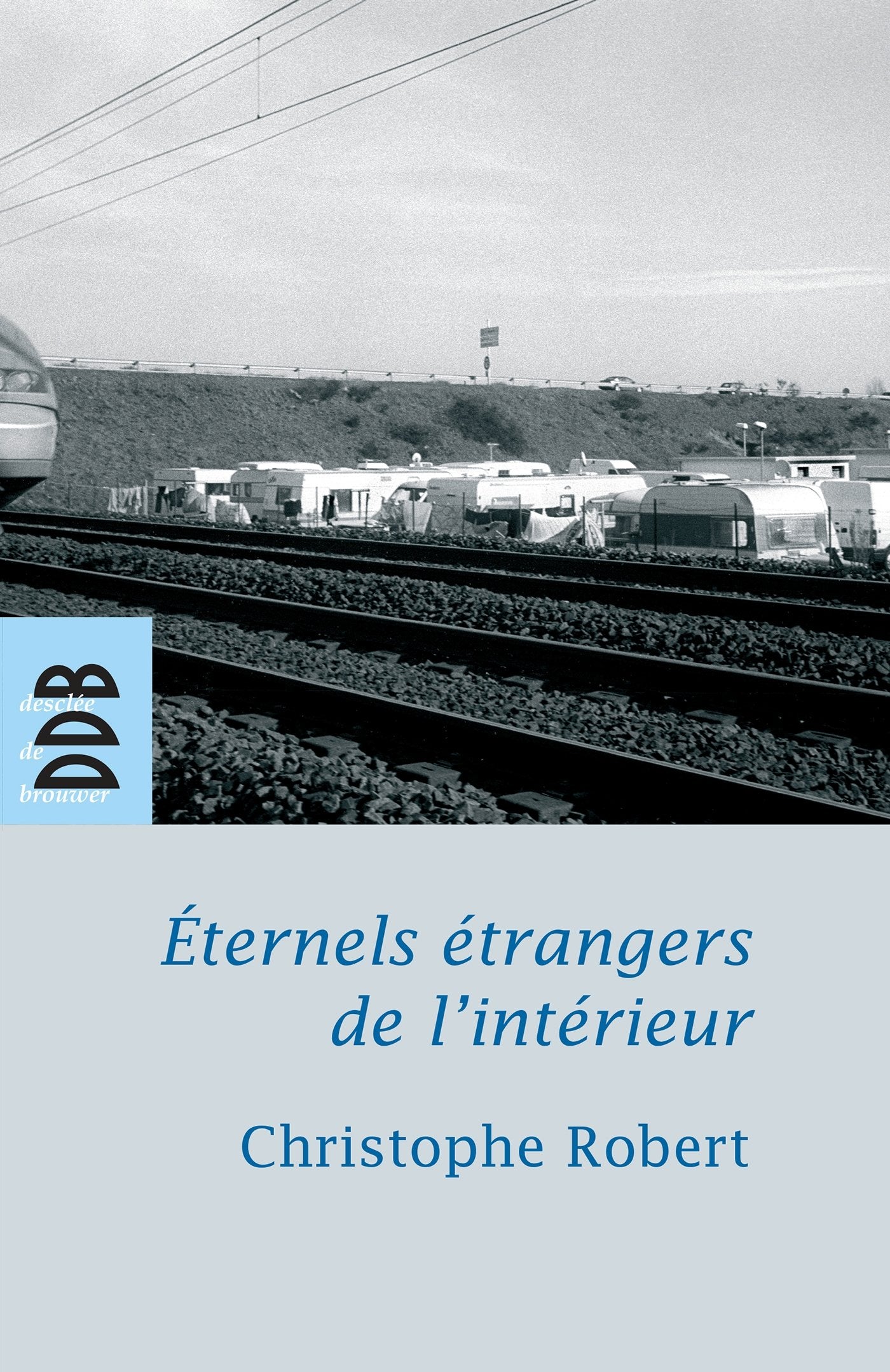 Eternels étrangers de l'intérieur ?: Les groupes tsiganes en France Books