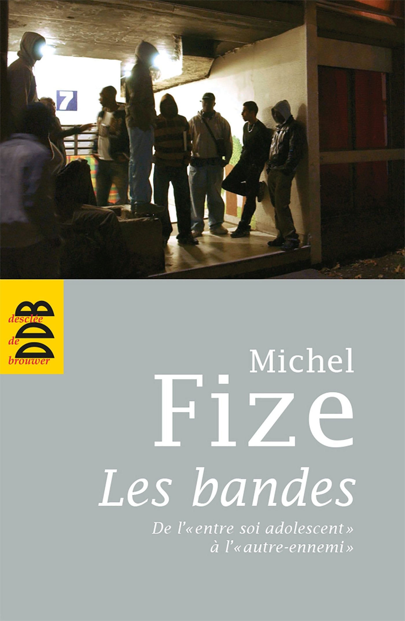 Les bandes - De l' "entre soi adolescent" à l' "autre-ennemi" book
