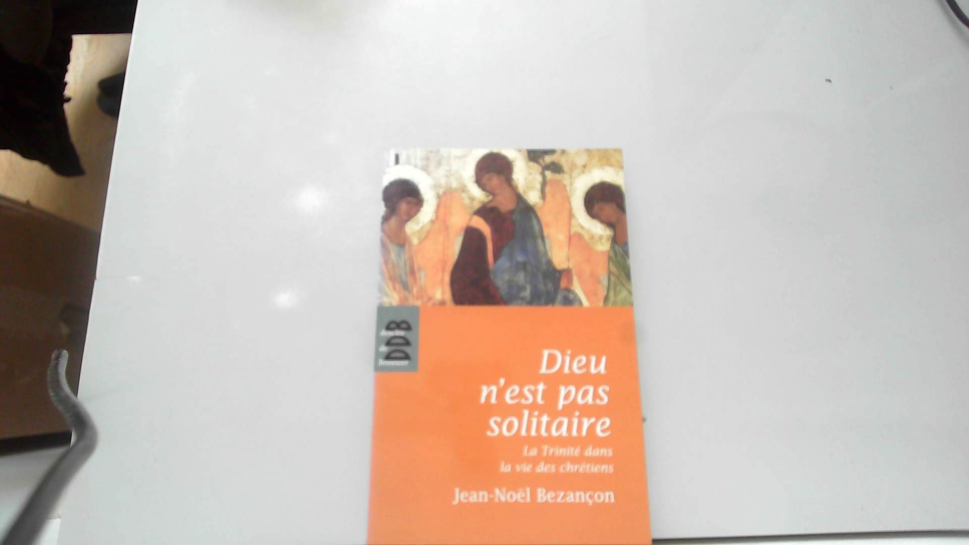 Dieu n'est pas solitaire: La Trinité dans la vie des chrétiens book