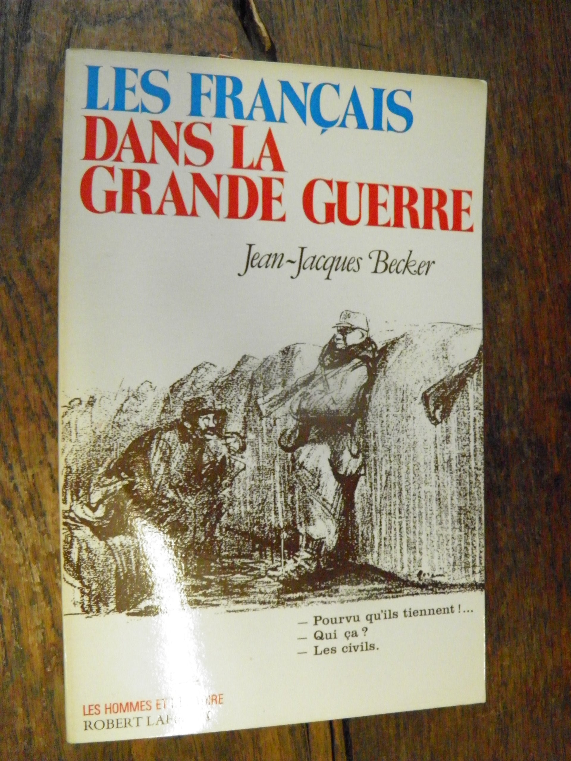 Les français dans la Grande Guerre book