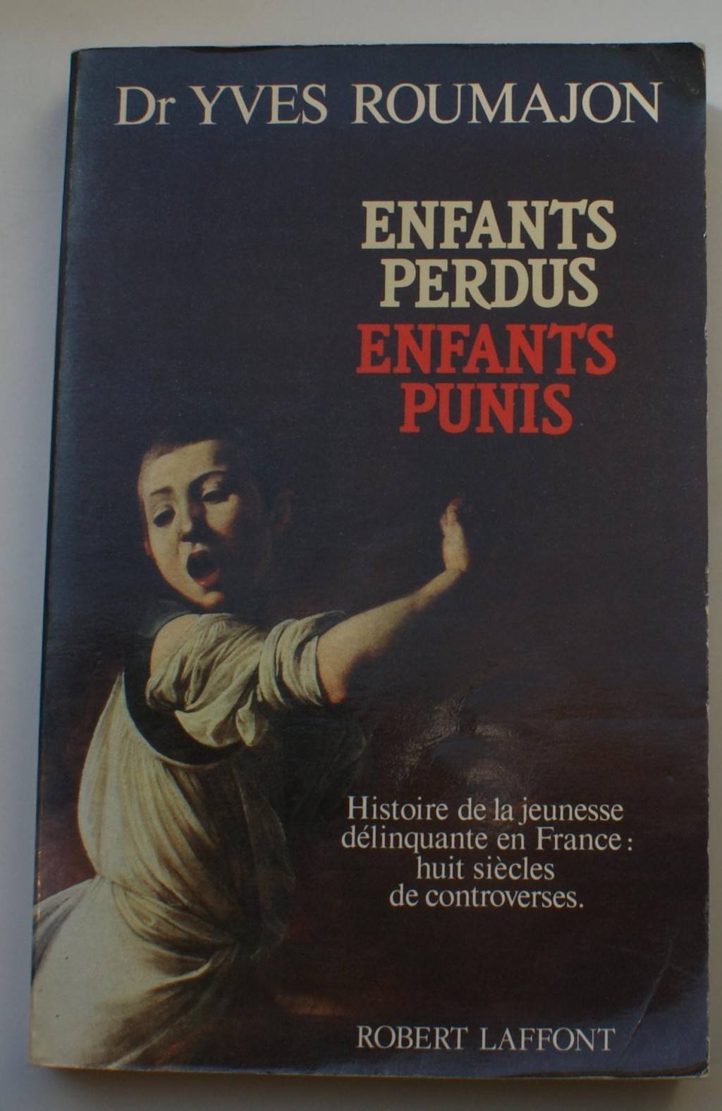 Enfants perdus, enfants punis book