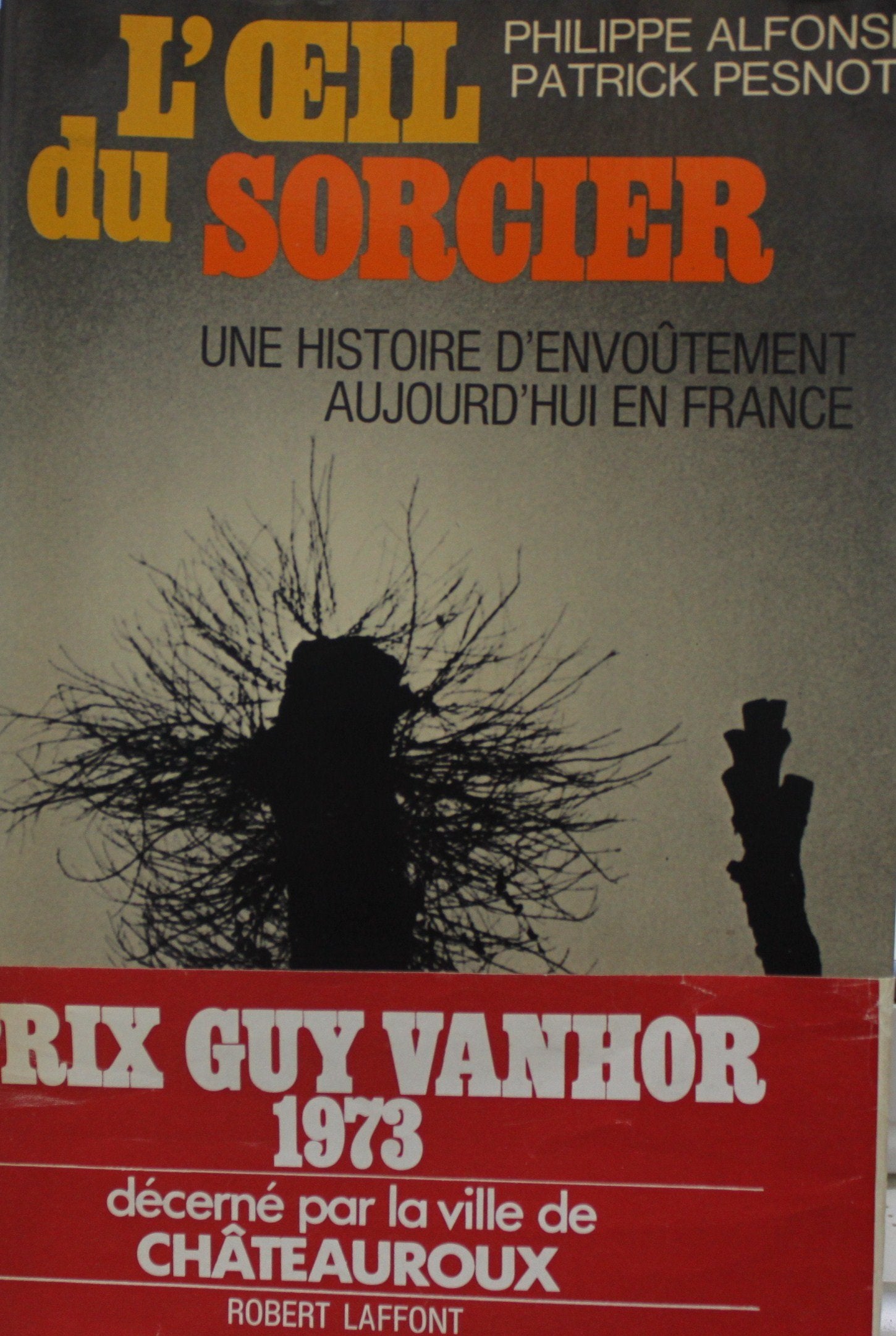 L'Oeil du sorcier : une histoire d'envoûtement, aujourd'hui en France book