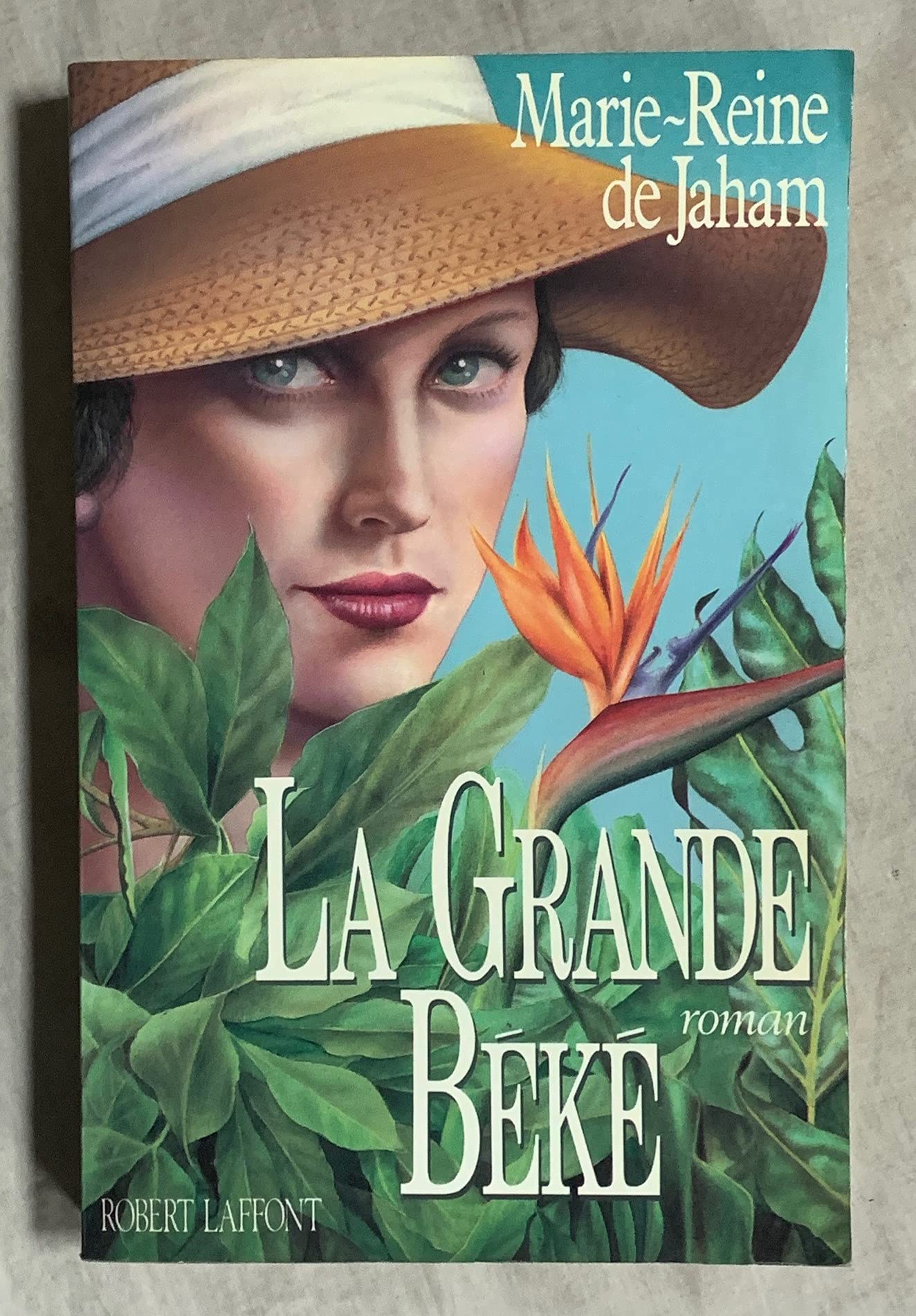 La grande béké: Roman (Best-sellers) Books