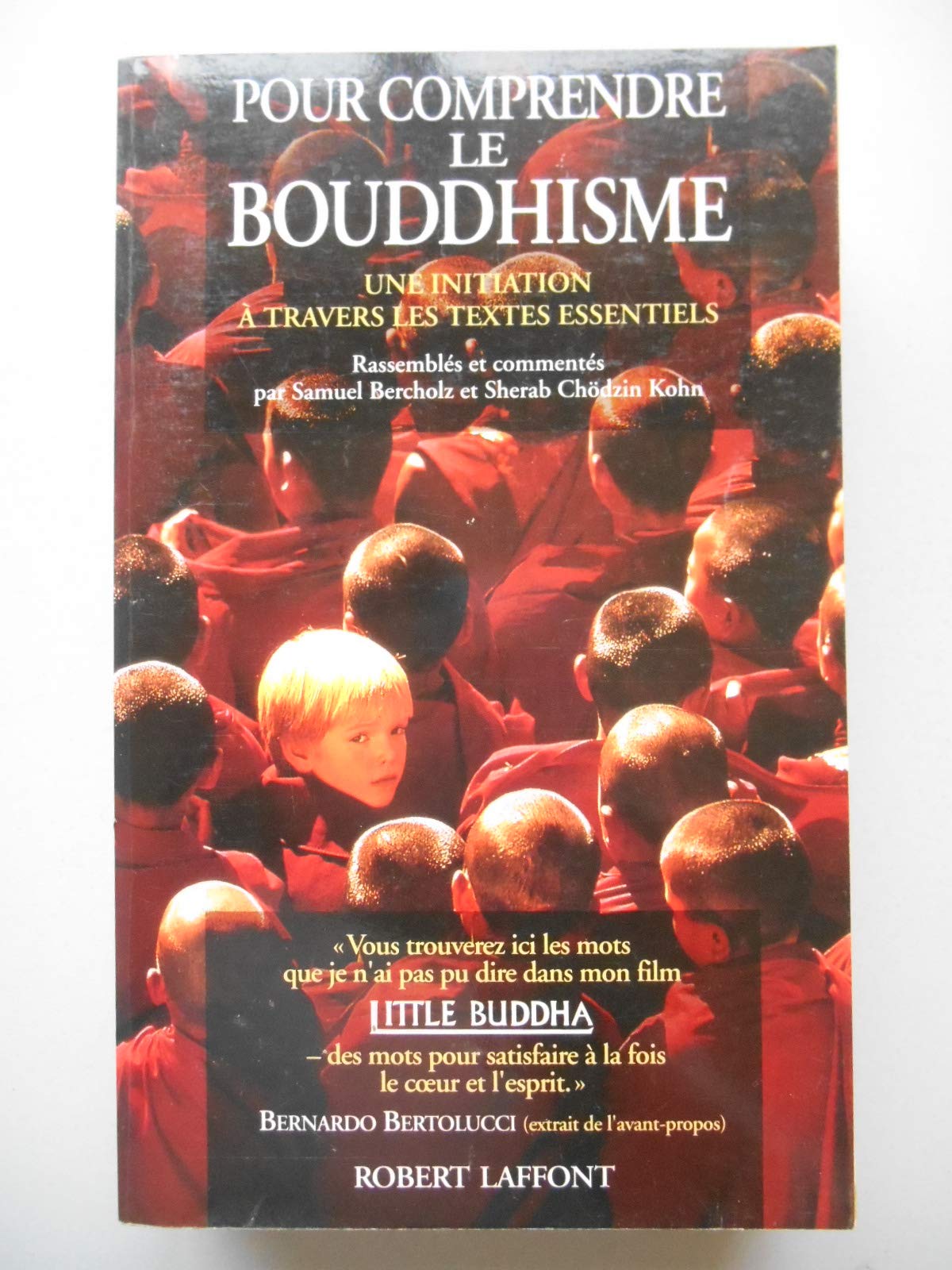 Pour comprendre le bouddhisme: Une initiation à travers les textes essentiels book