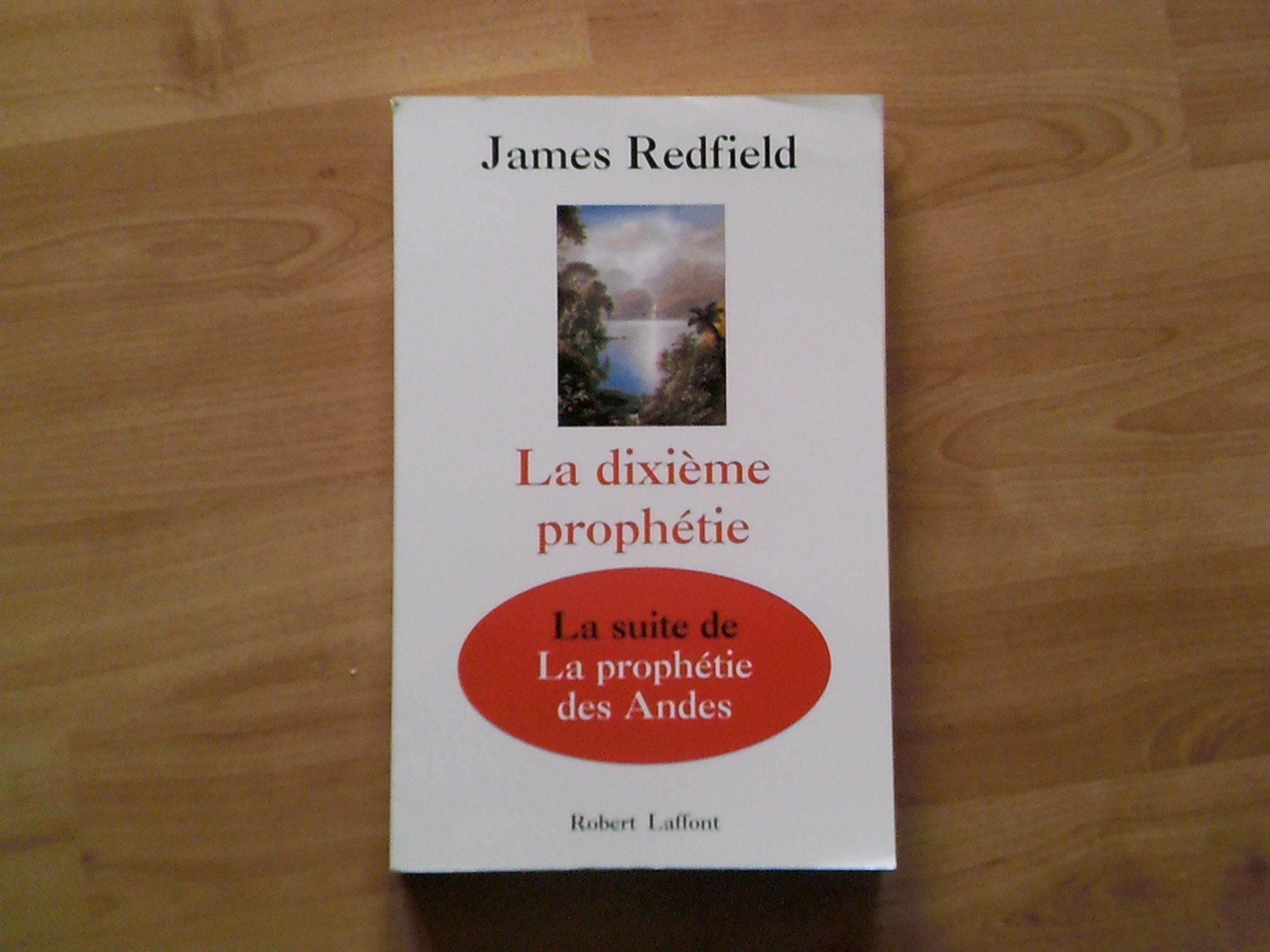 La dixième prophétie: La suite de "La prophétie des Andes" Books
