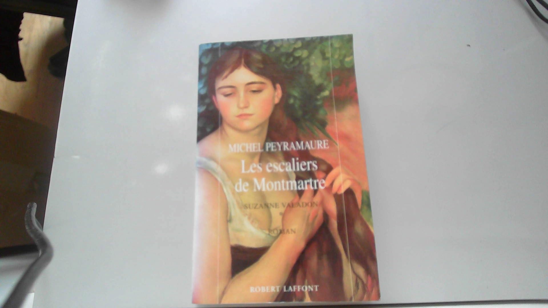 Suzanne Valadon: Tome 1 : les escaliers de Montmartre Books