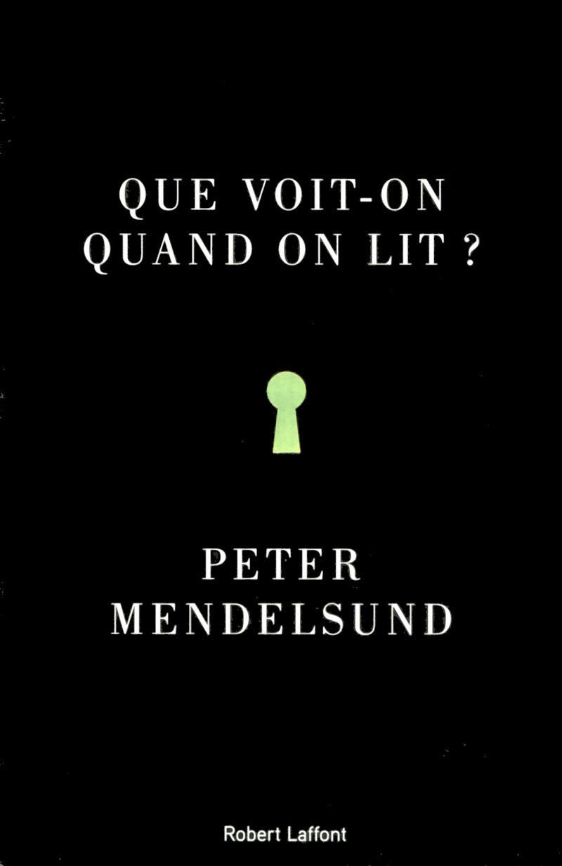 Que voit-on quand on lit ?: Une phénoménologie avec illustrations Contemporary literature