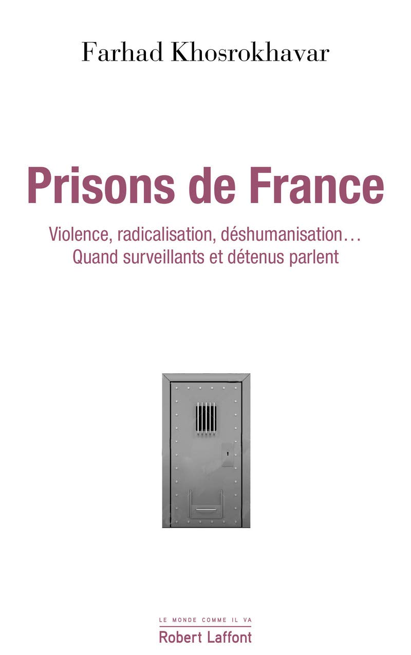 Prisons de France: Violence, radicalisation, déshumanisation : surveillants et détenus parlent Social Sciences