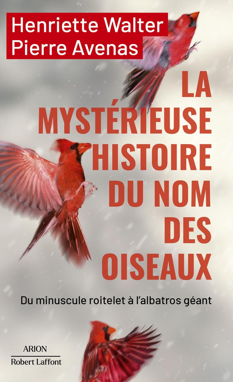 La mystérieuse histoire du nom des oiseaux: Du minuscule roitelet à l'albatros géant Contemporary literature