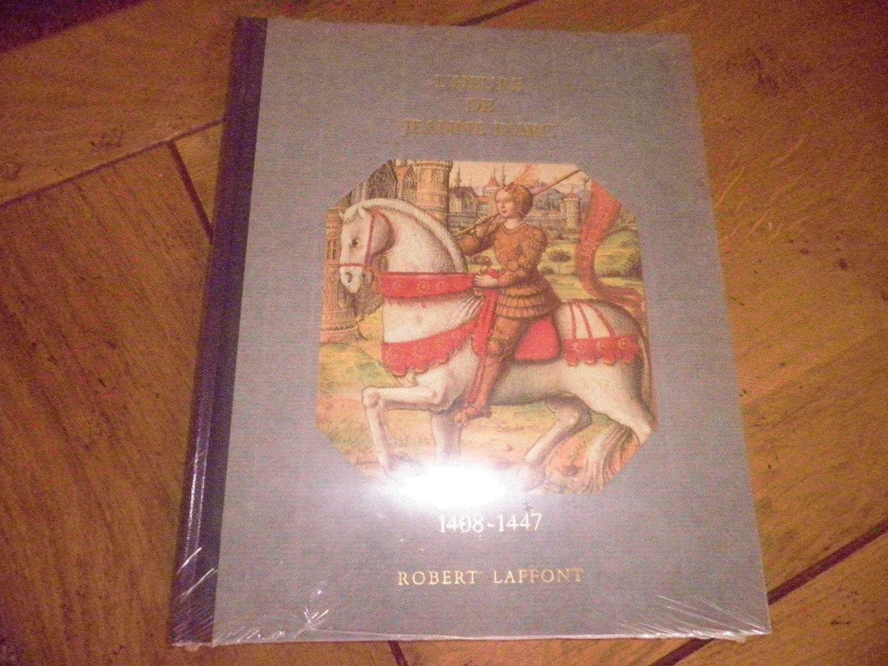 Histoire De La France Et Des Français Au Jour Le Jour : L'Heure De Jeanne D'Arc 1408-1447 Books
