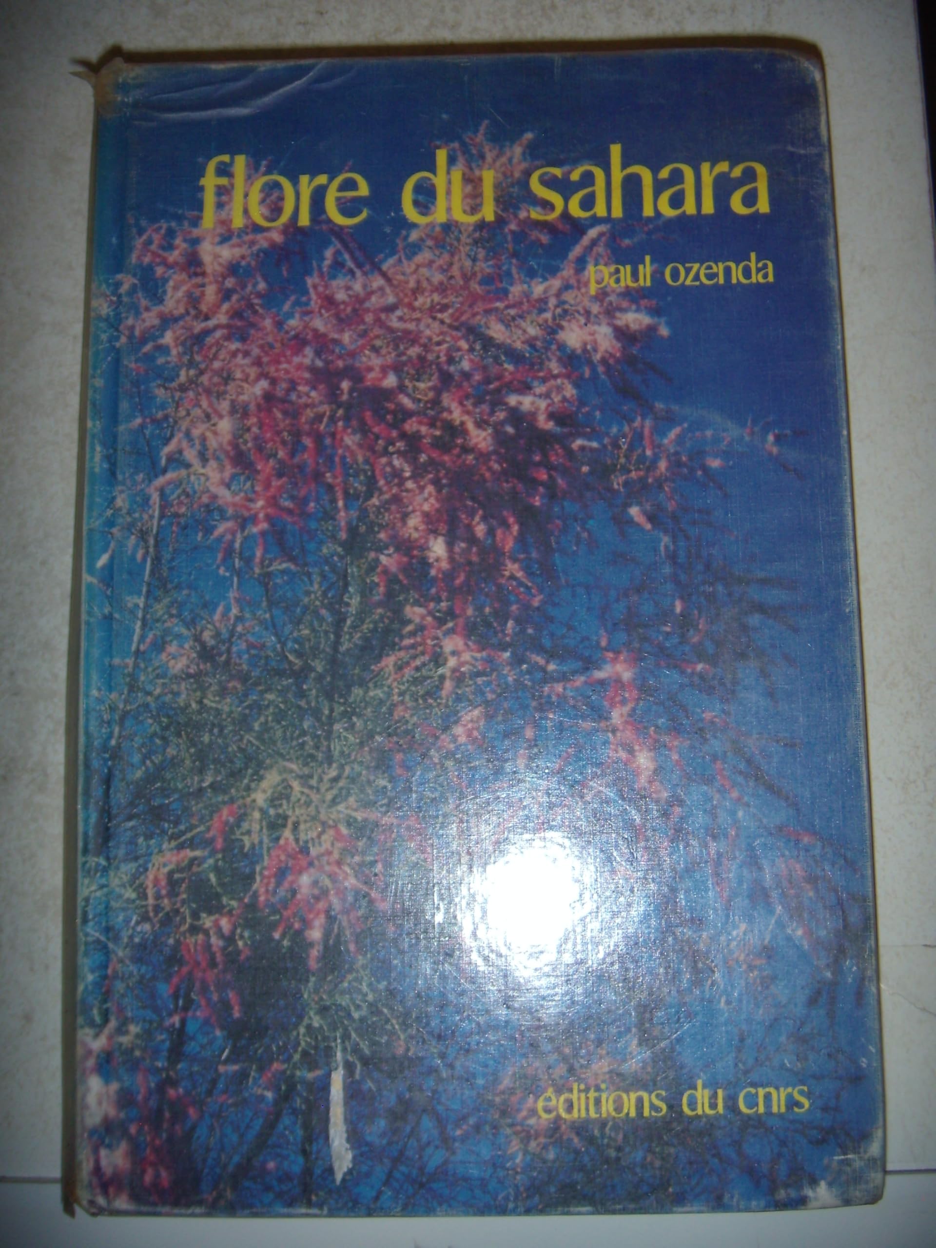 Product Image: Flore du sahara