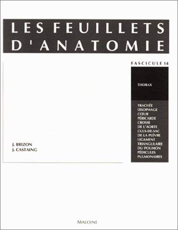 Les Feuillets d'anatomie: Tome 14, Thorax Books