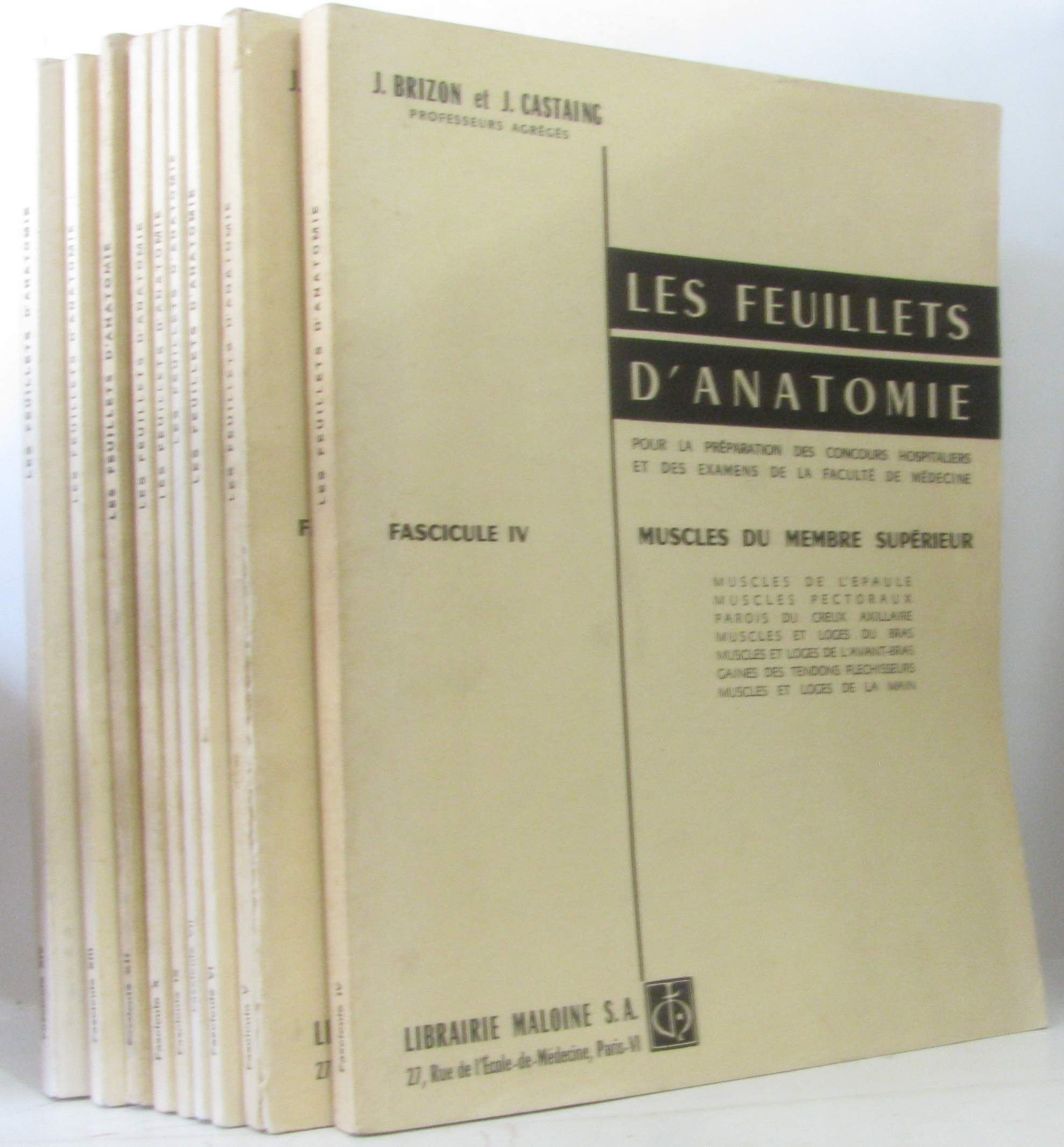 Les Feuilles d'anatomie, fascicule 4 : Muscles du membre supérieur book