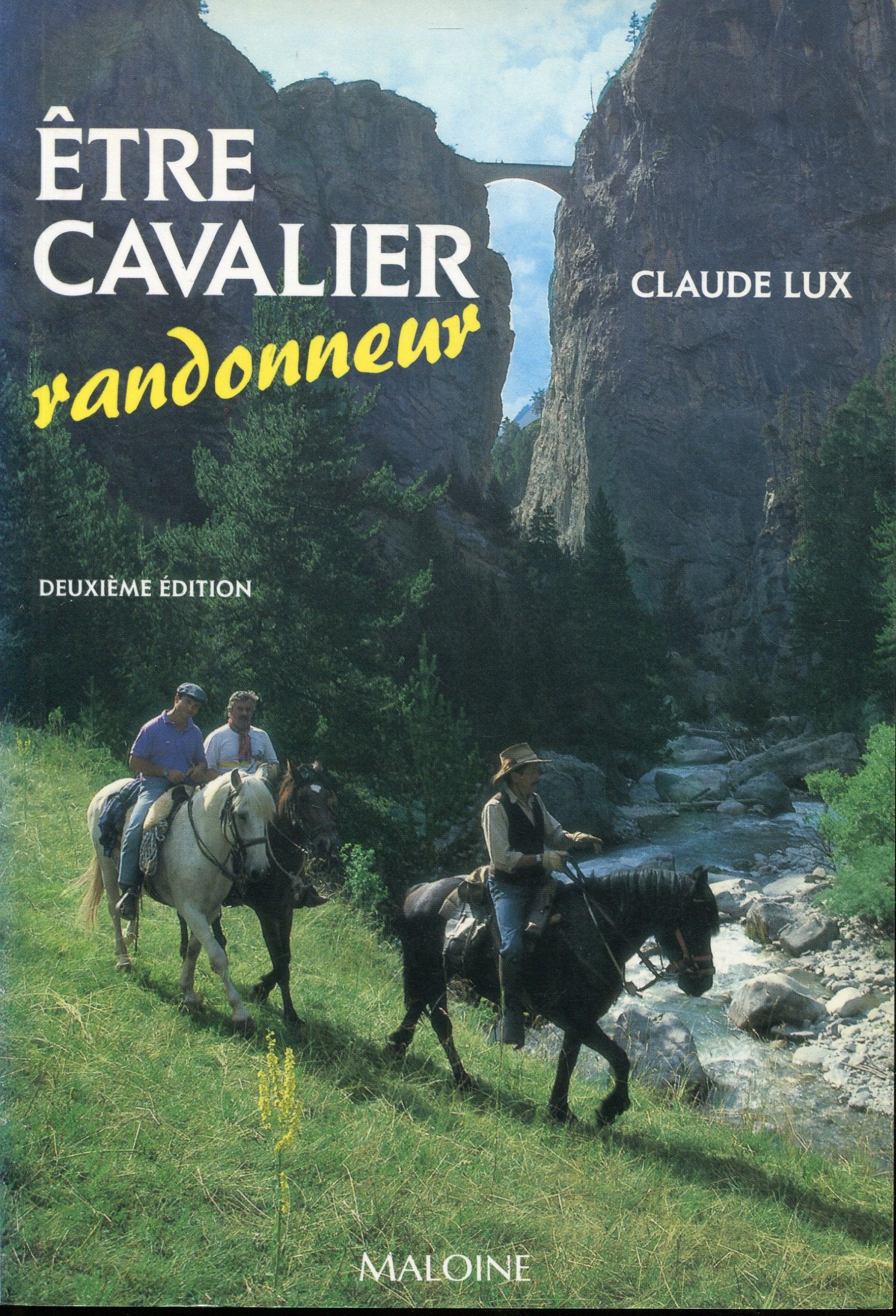 Être cavalier randonneur : Tout ce qu'il faut savoir sur la randonnée, ses techniques et ses compétitions book
