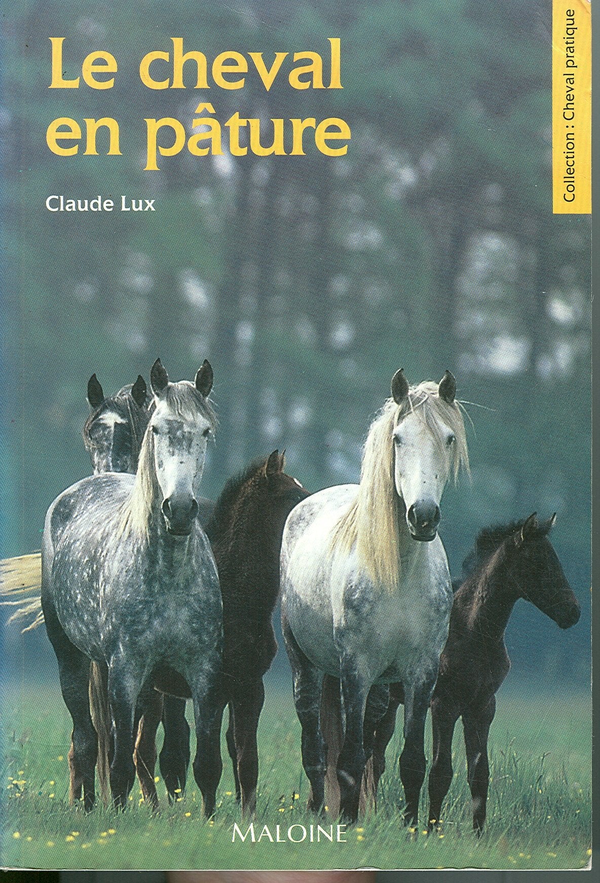 Product Image: Le cheval en pâture