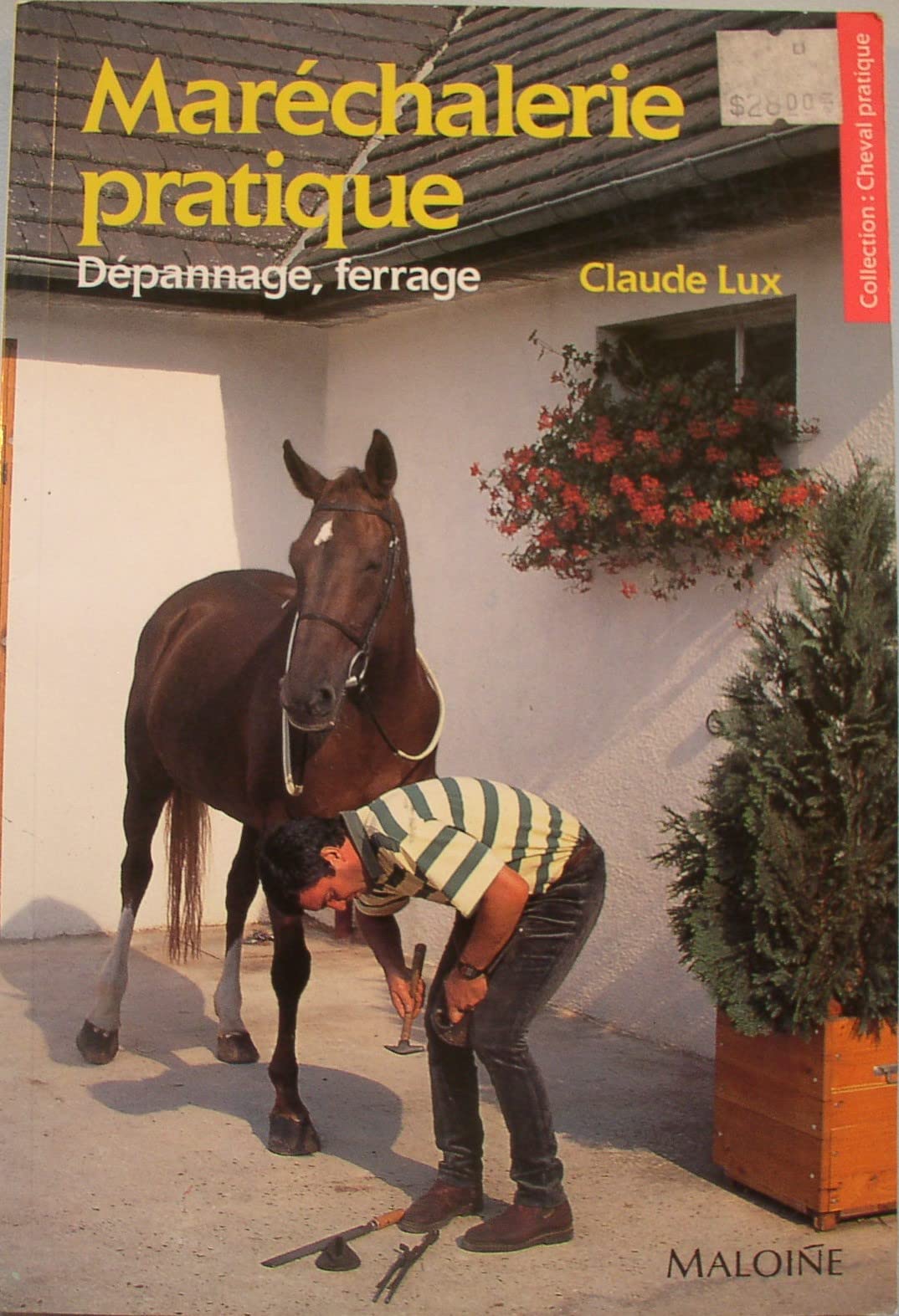Marechalerie Pratique. Depannage, Ferrage Leisure & Fun